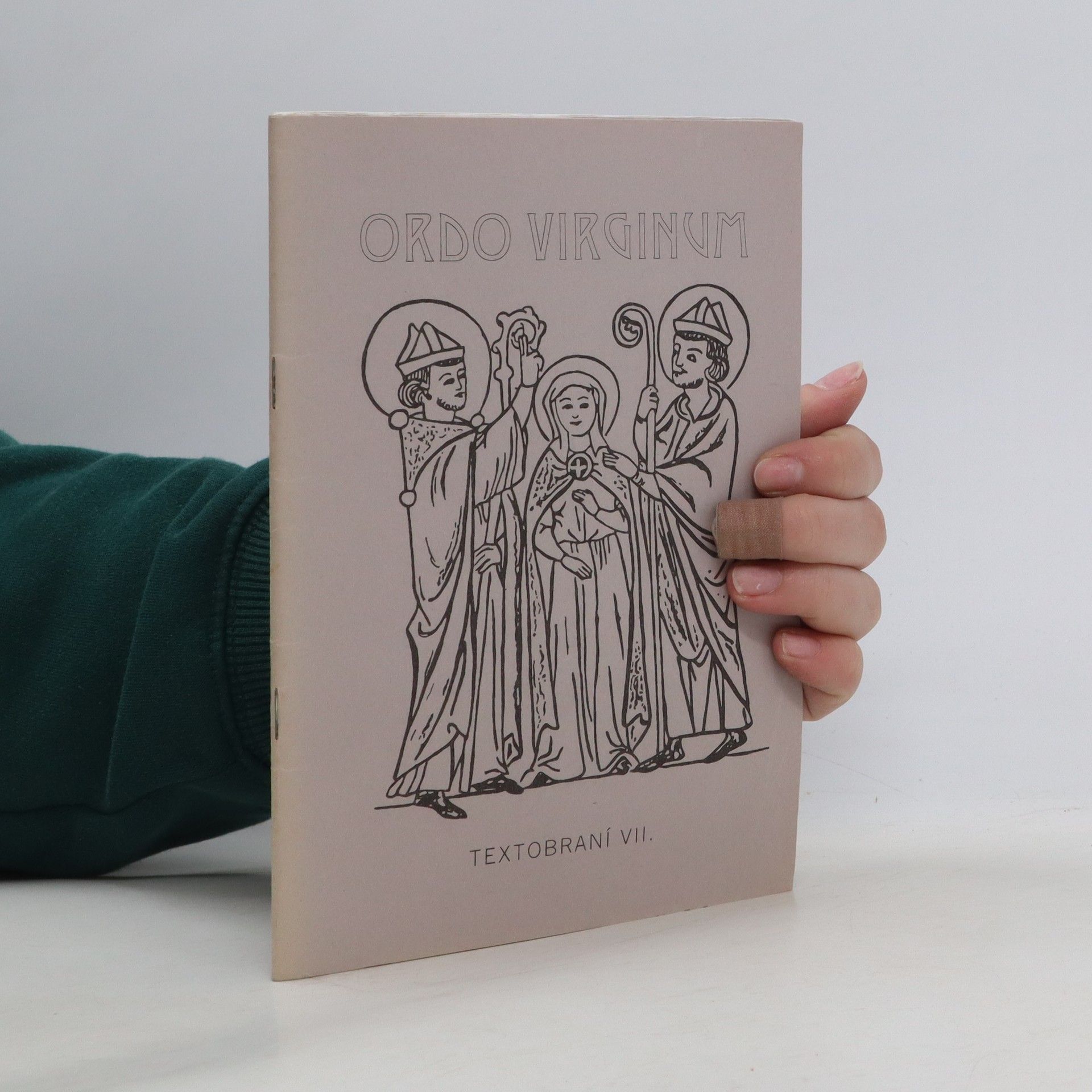 Kolektív autorov Ordo virginum - textobraní VIi.
