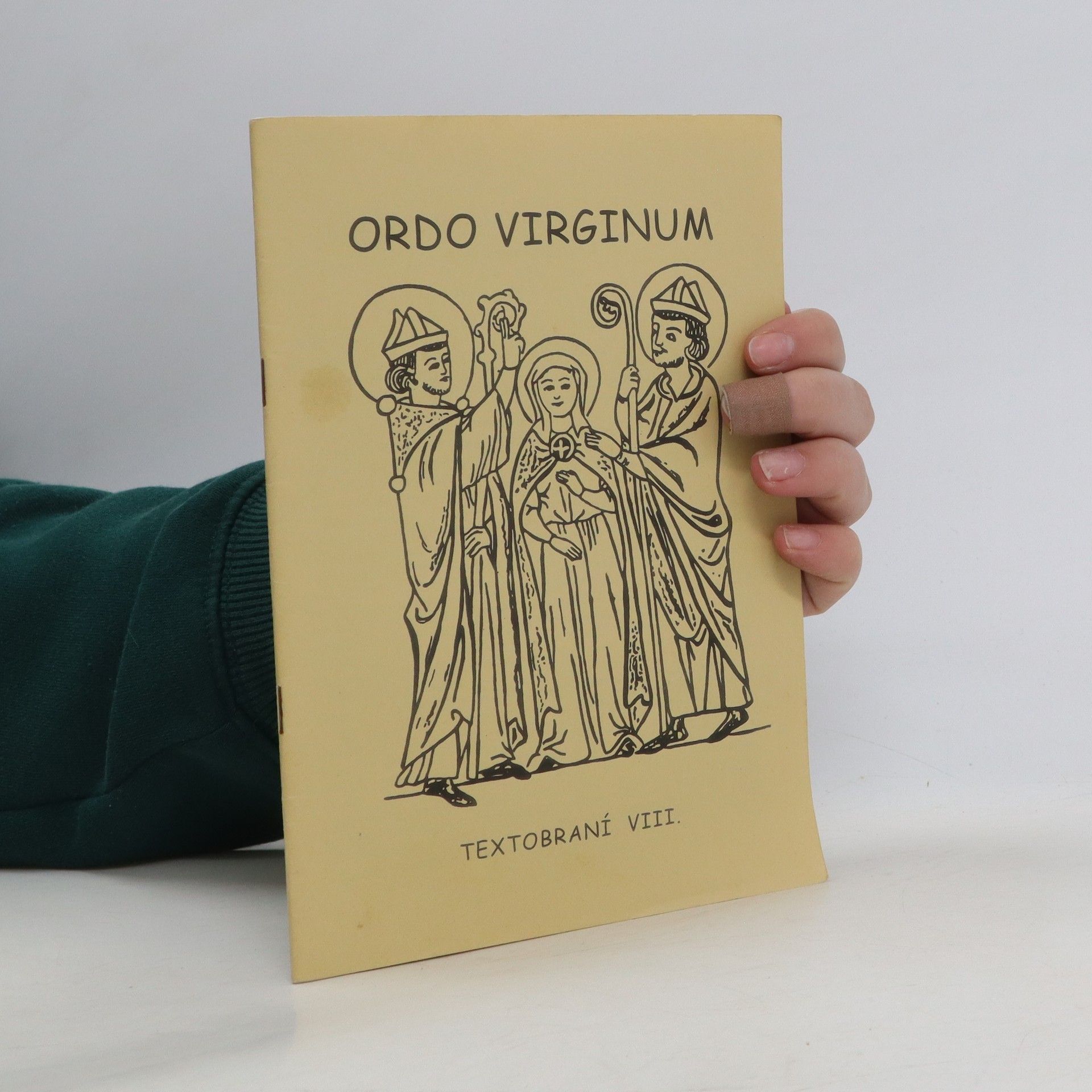 Kolektív autorov Ordo virginum - textobraní VIII.