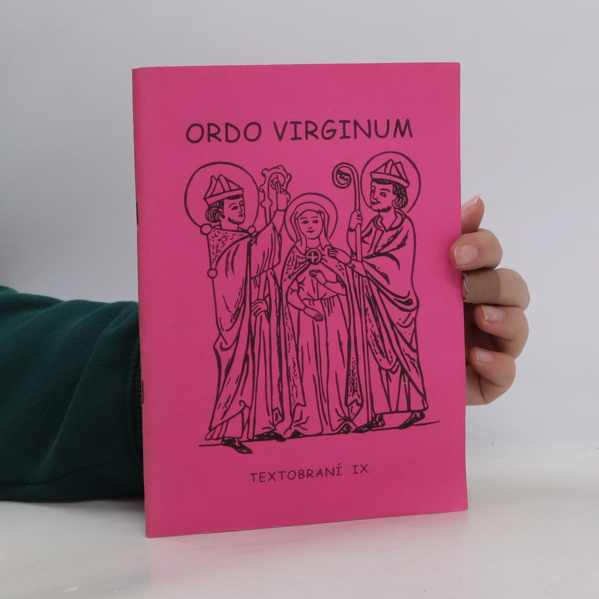 Kolektív autorov Ordo Virginum. Textobraní IX.
