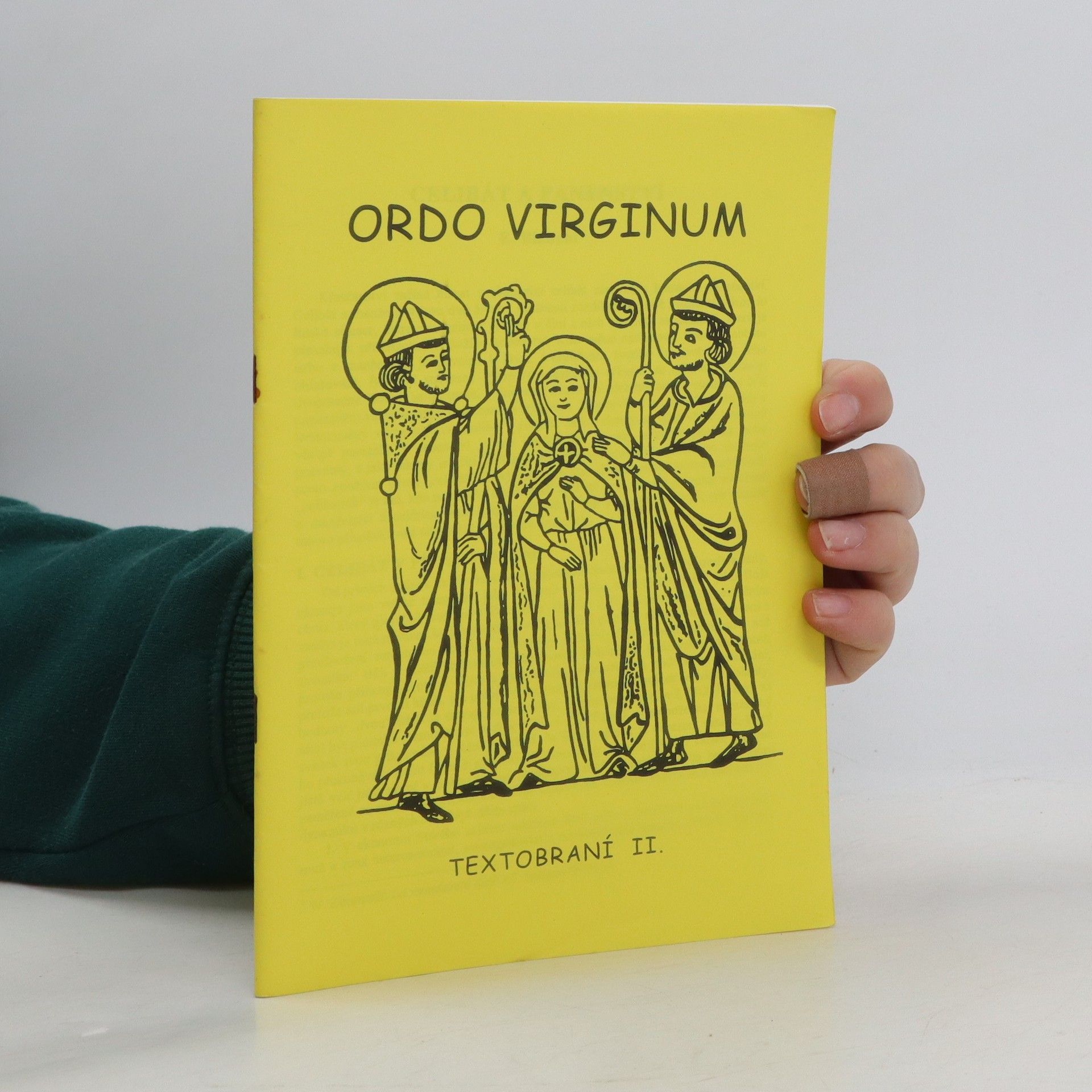 Kolektív autorov Ordo virginum - textobraní II.