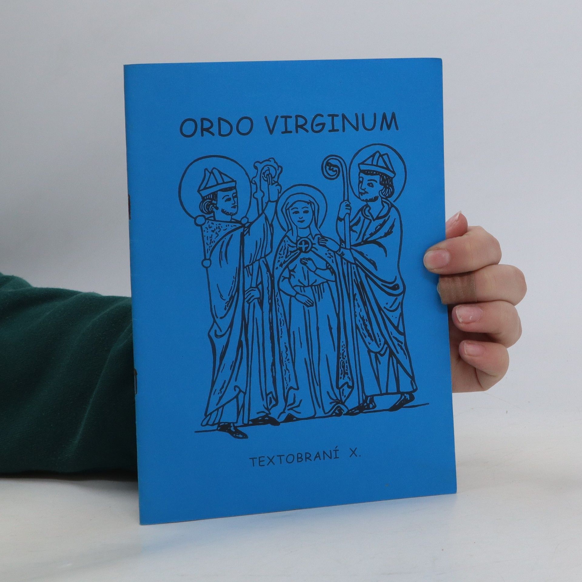 Kolektív autorov Ordo virginum - textobraní X.