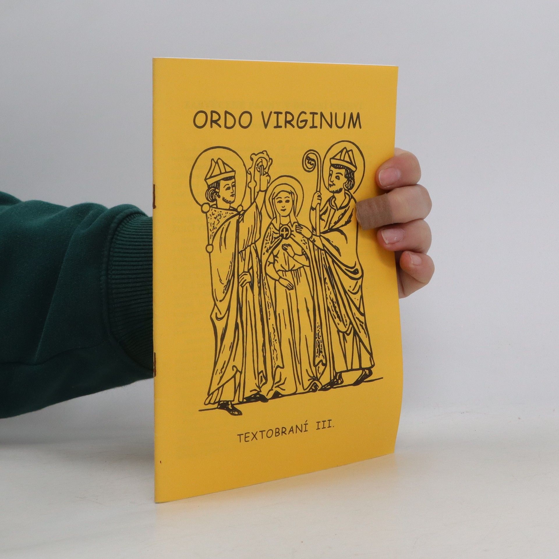 Kolektív autorov Ordo virginum. Textobraní III.