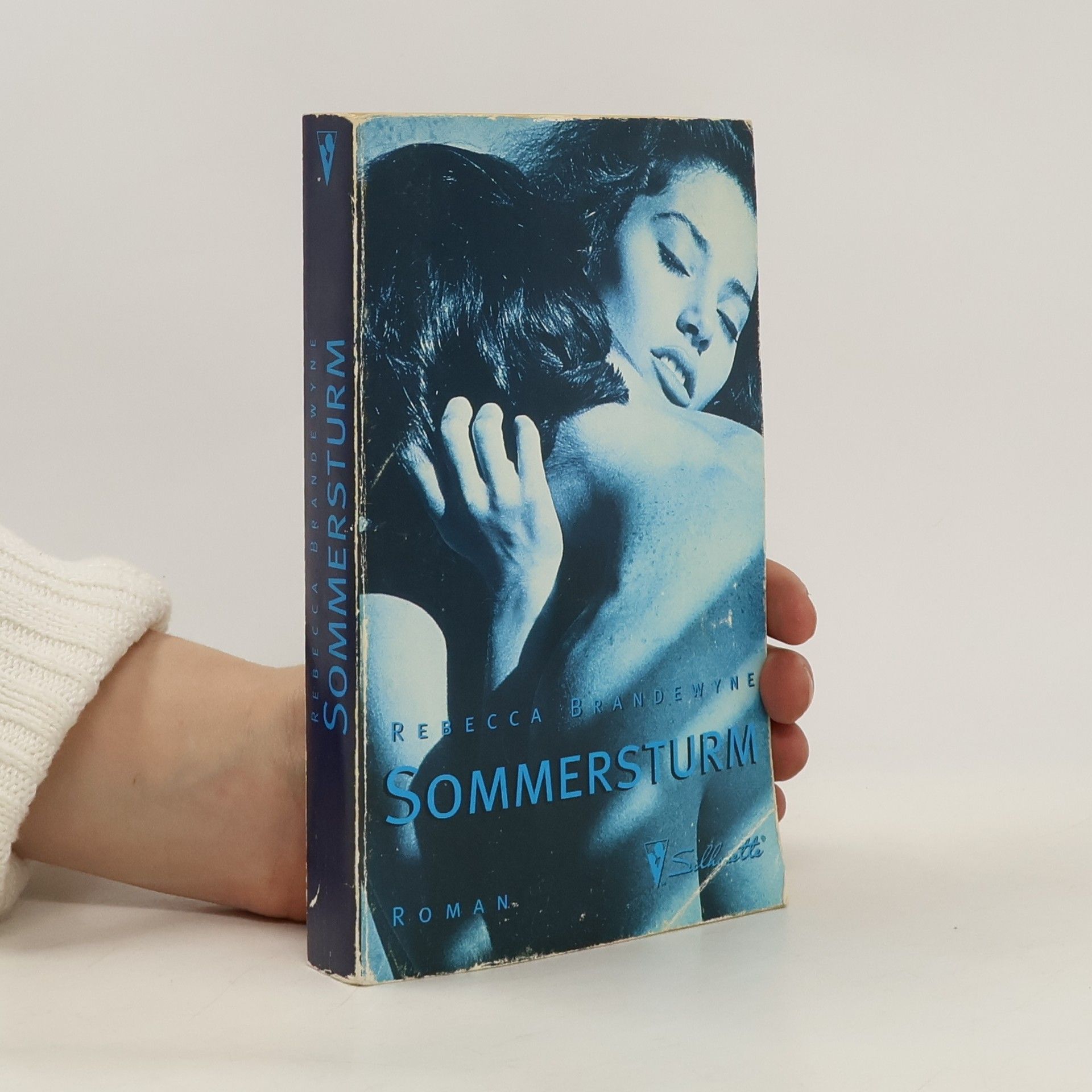 Rebecca Brandewyne Sommersturm