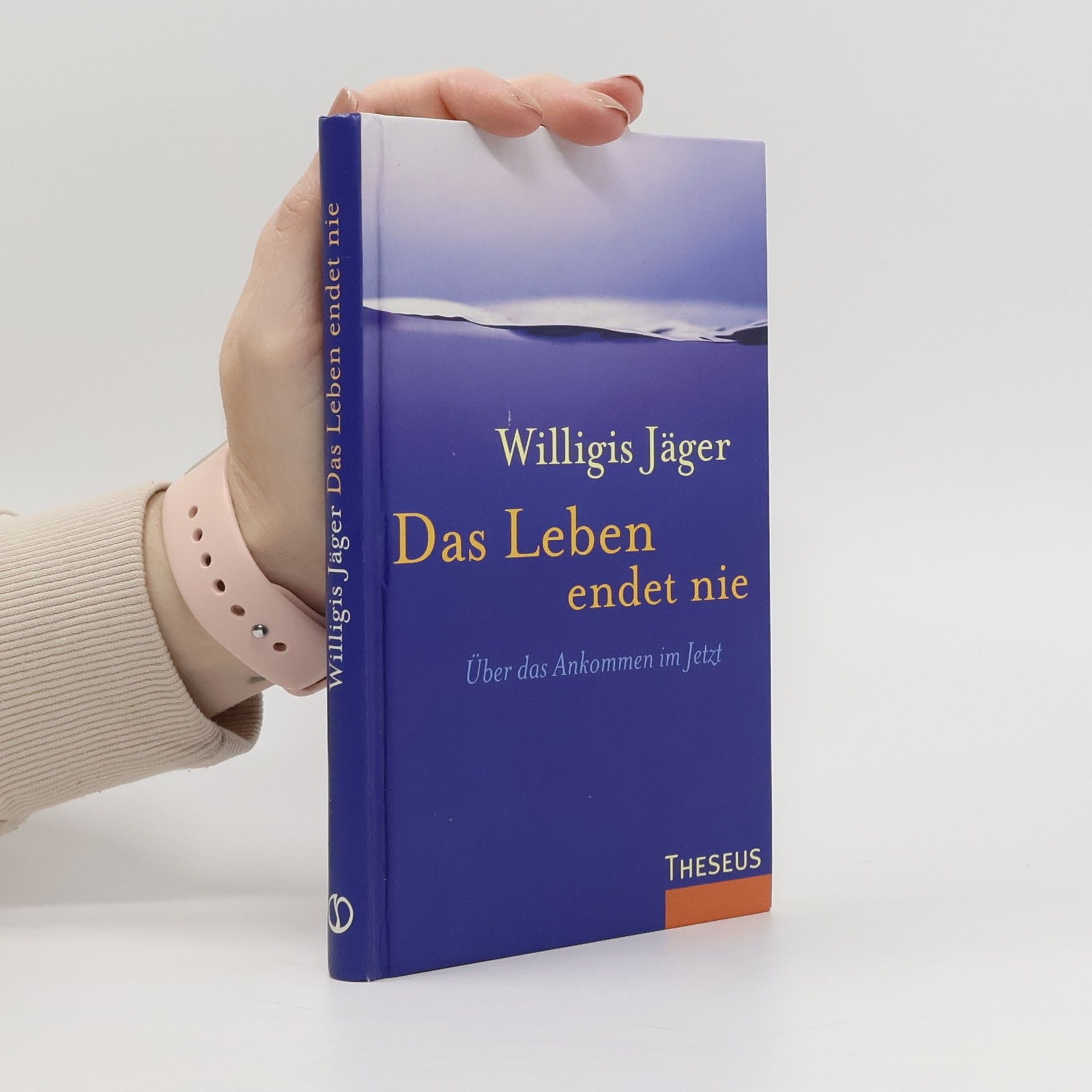 Willigis Jäger Das Leben endet nie