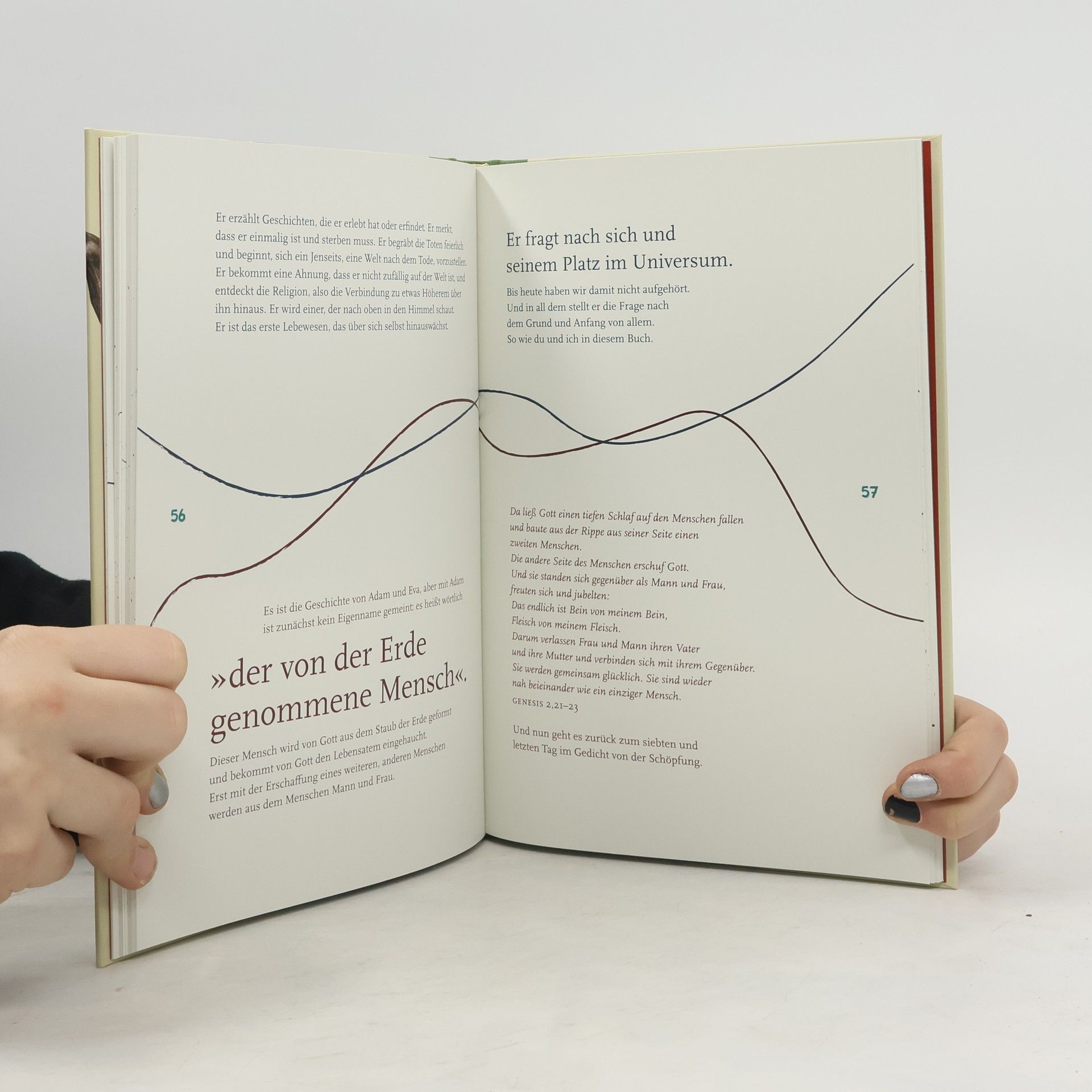Rainer Oberthür Das Buch vom Anfang von allem