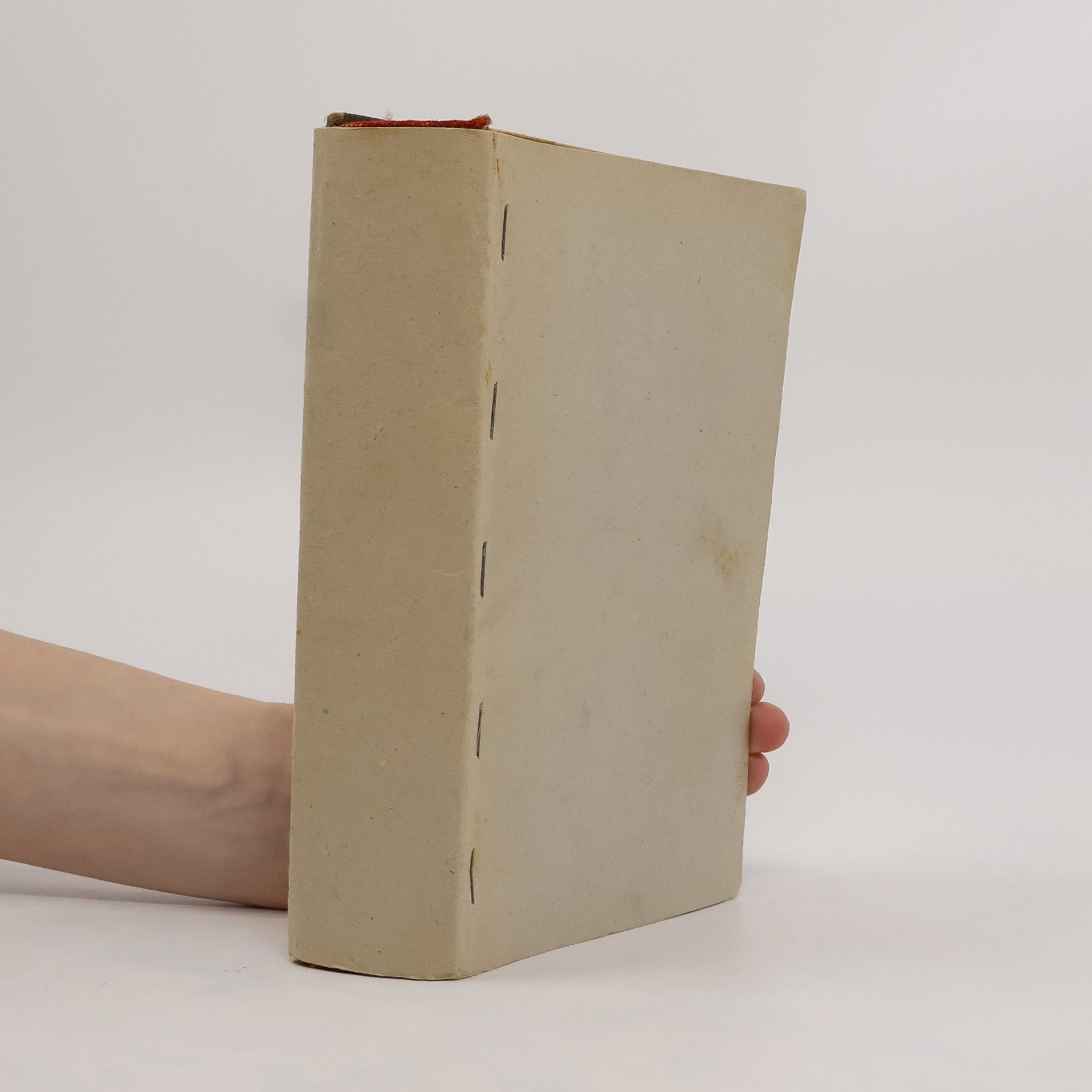 Anja Miedbrodt Norren