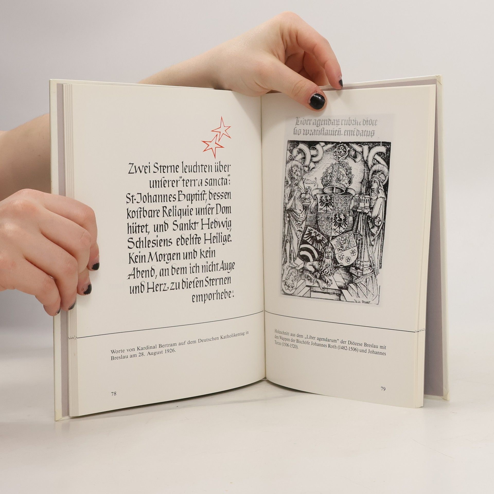 Autorenkollektiv Sankt Hedwig, die Patronin Schlesiens