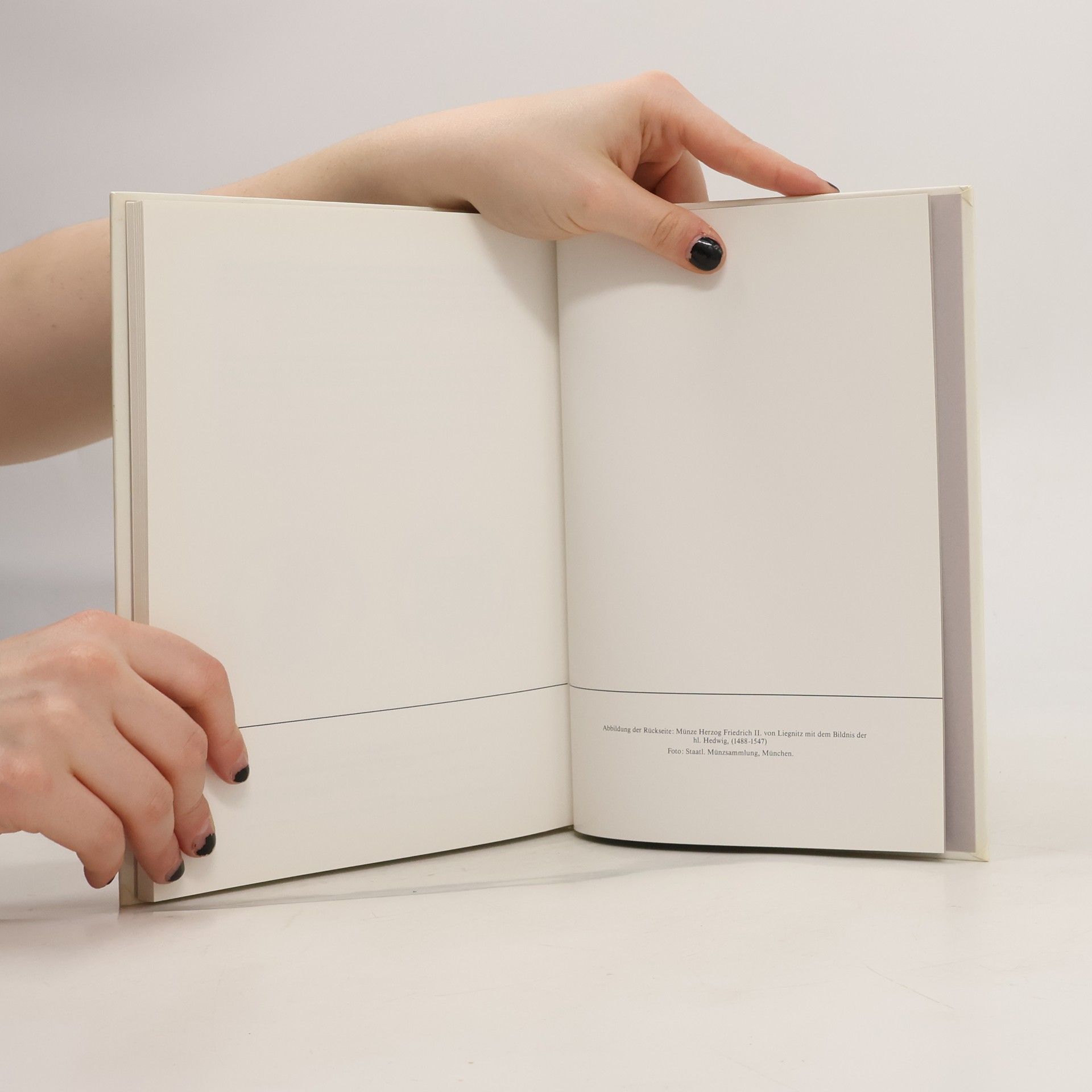 Autorenkollektiv Sankt Hedwig, die Patronin Schlesiens