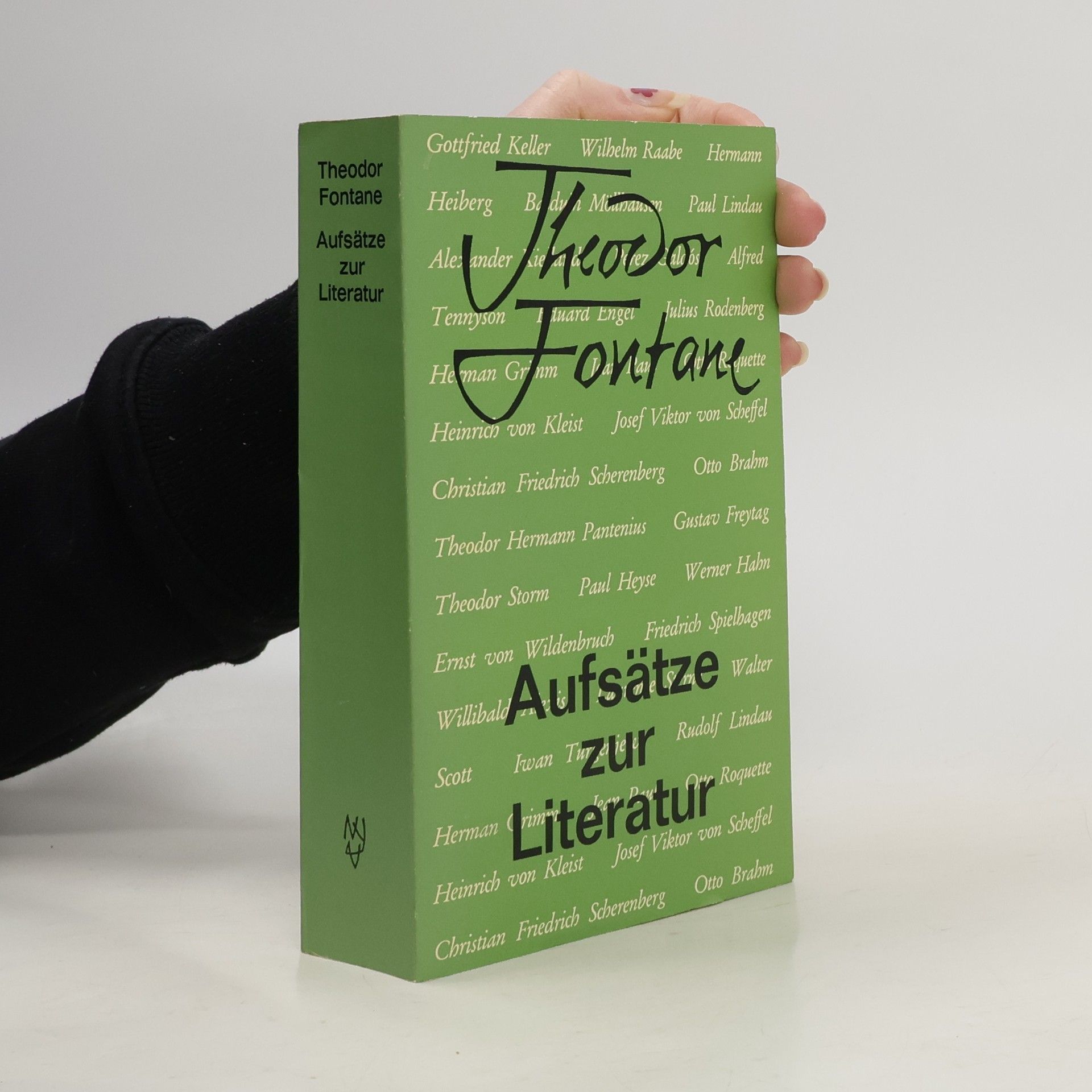 Theodor Fontane Aufsätze zur Literatur