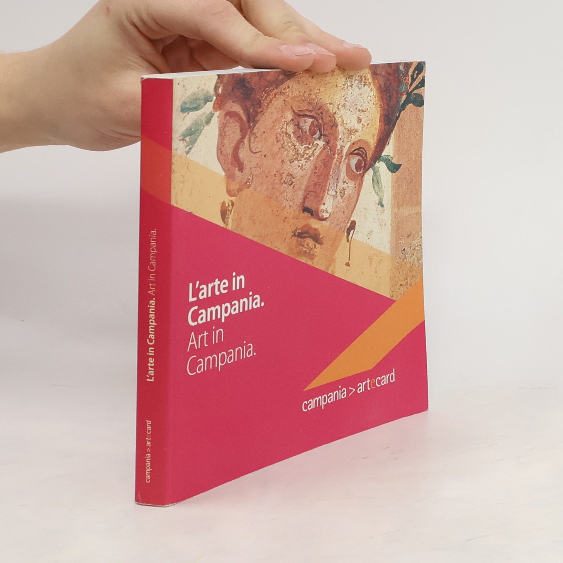 Auteurscollectief L'arte in Campania - Art in Campania