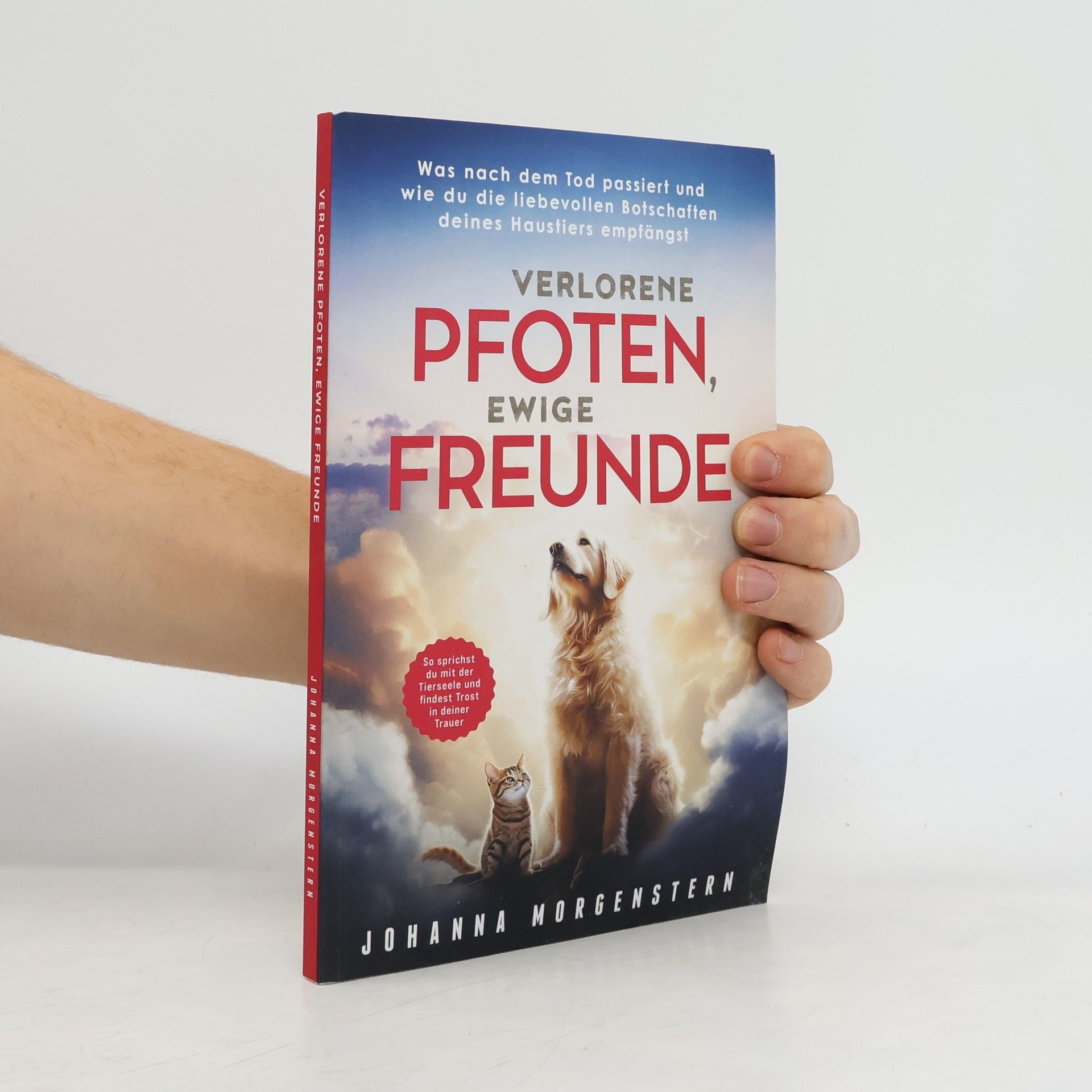 Johanna Katharina Morgenstern-Schulze Verlorene Pfonten, Ewige Freunde