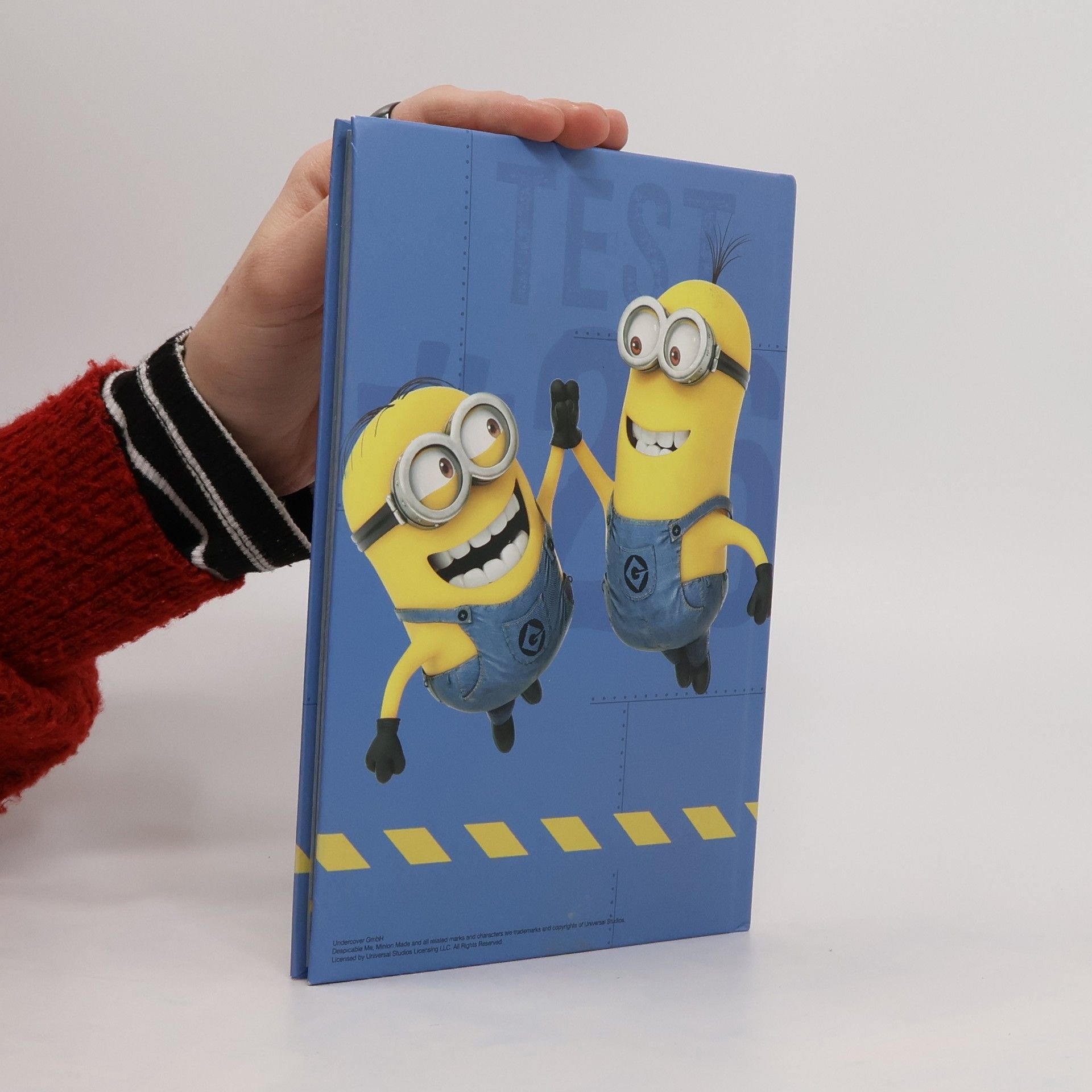 kolektiv Minions At Work. Mein Freundebuch