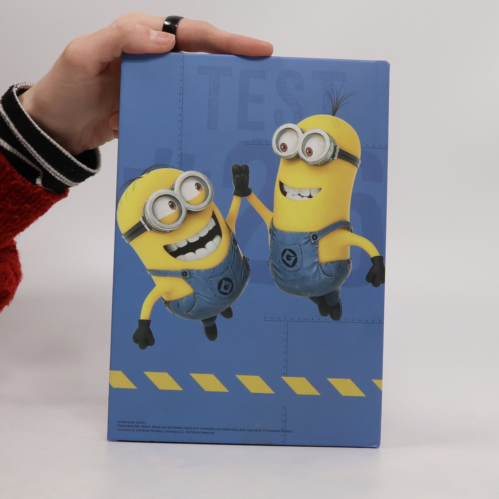 kolektiv Minions At Work. Mein Freundebuch