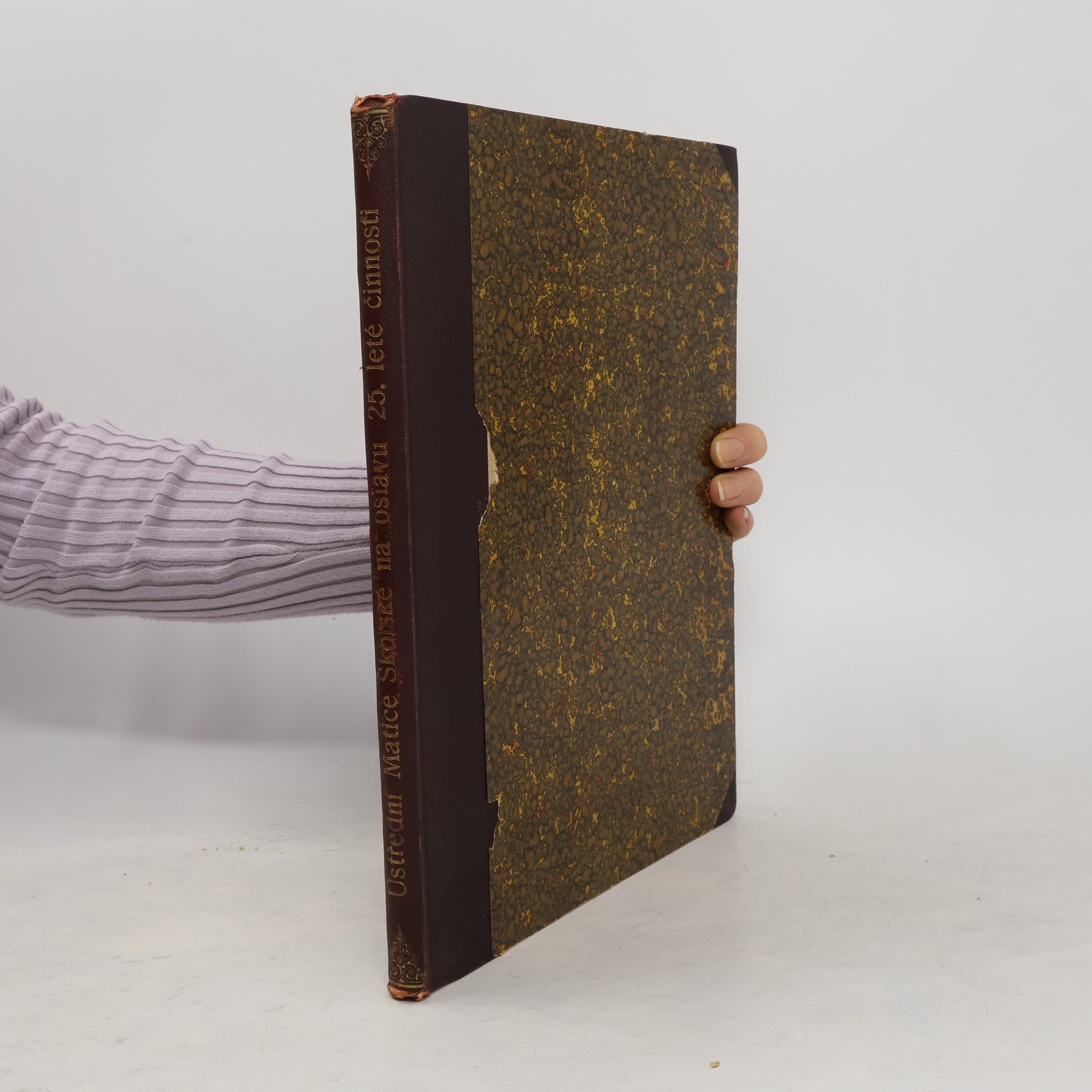 Auteurscollectief Ústřední Matici školské na oslavu 25 leté činnosti