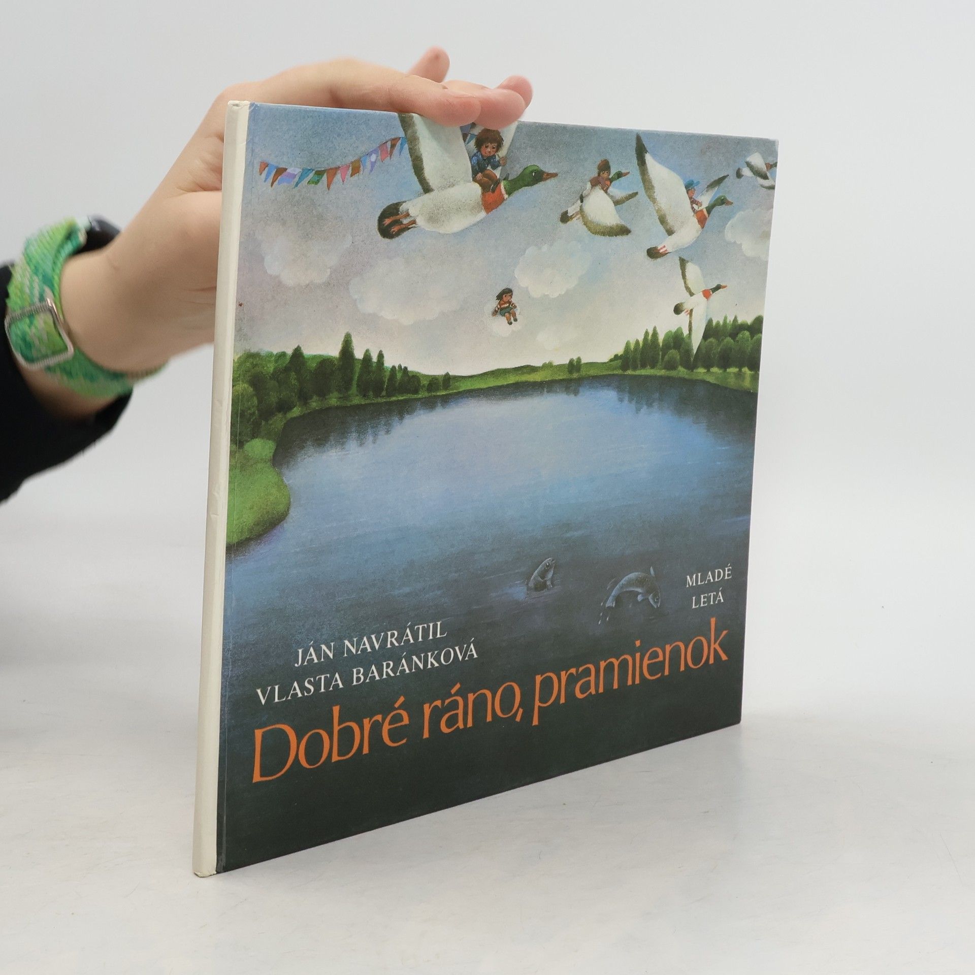 Ján Navrátil Dobré ráno, pramienok