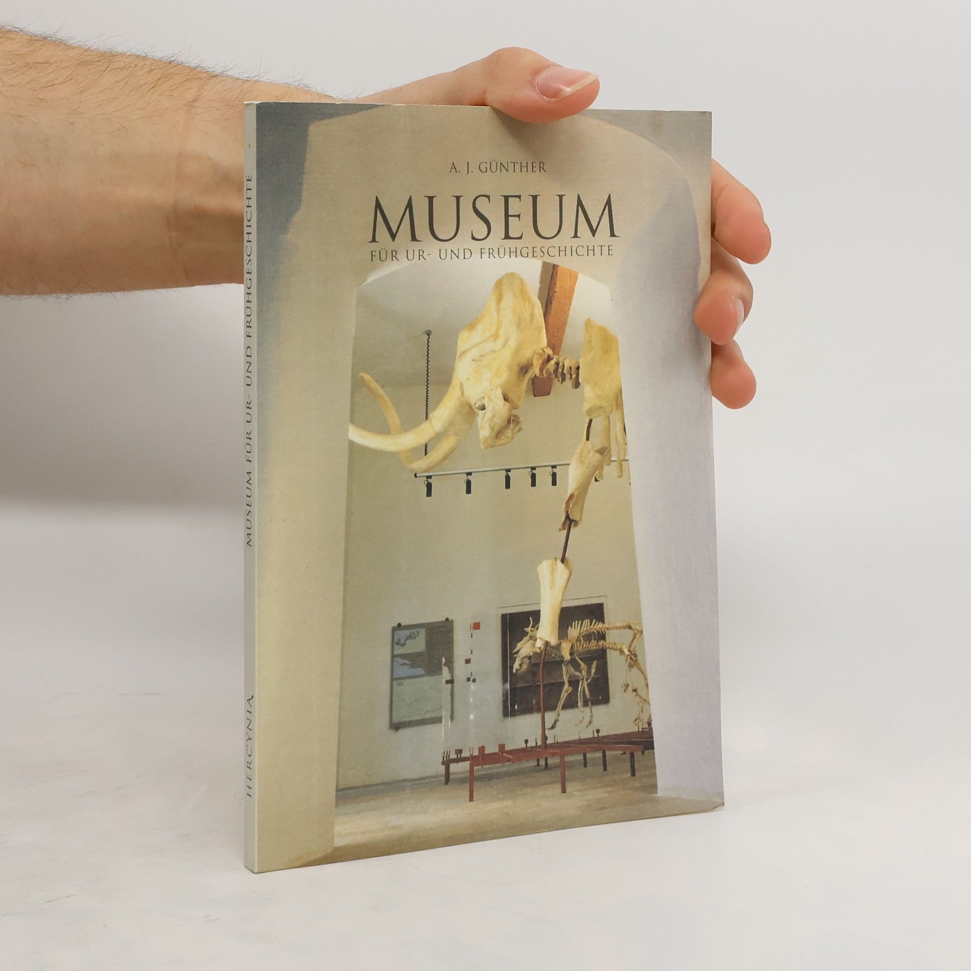 Museum für ur und Frühgeschichte