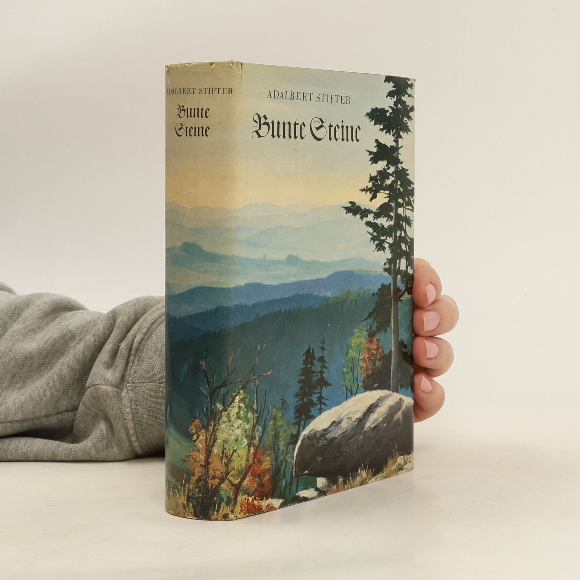 Adalbert Stifter Bunte Steine