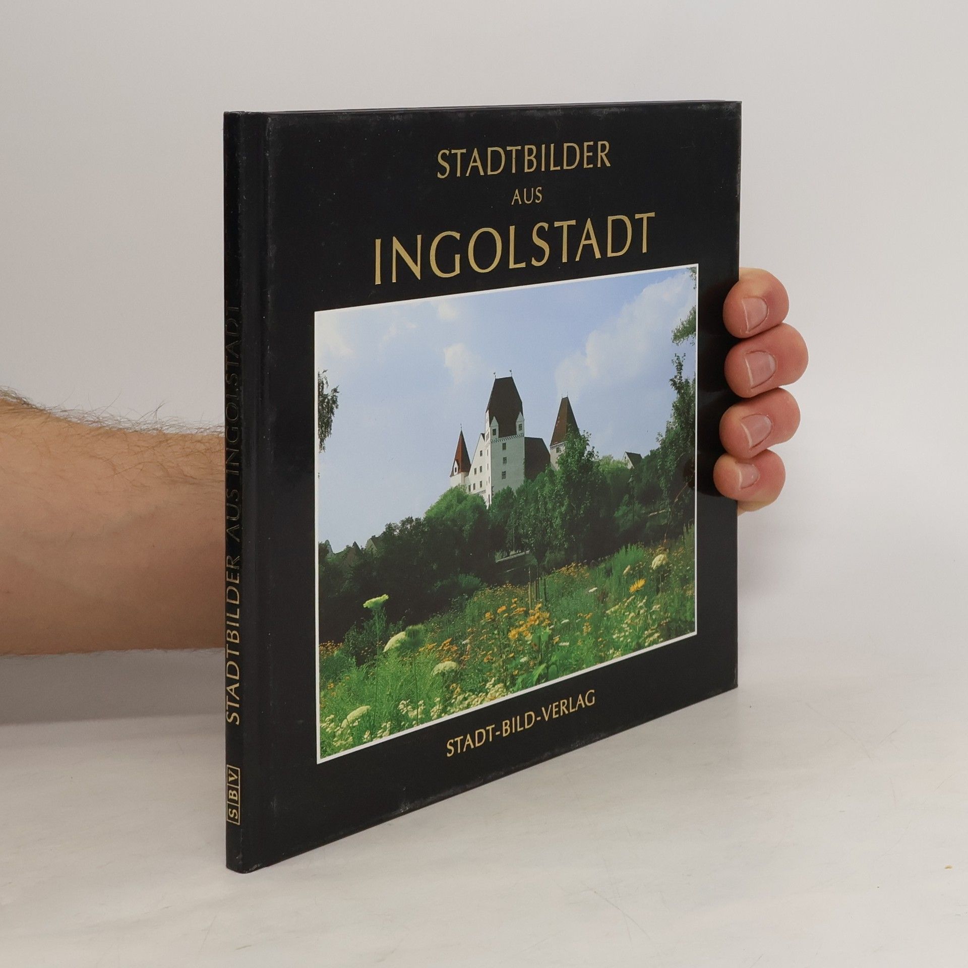 Werner Unfug Stadtbilder aus Ingolstadt