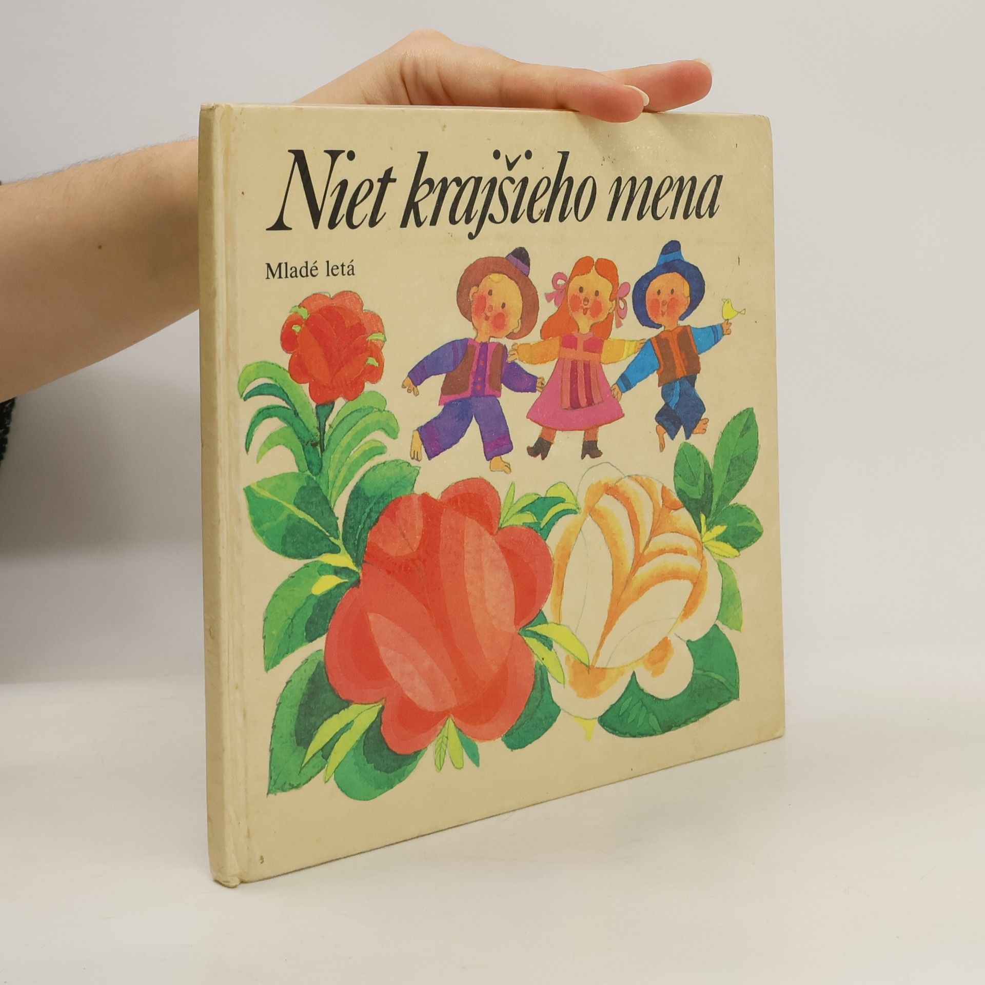 Kolektív autorov Niet krajšieho mena