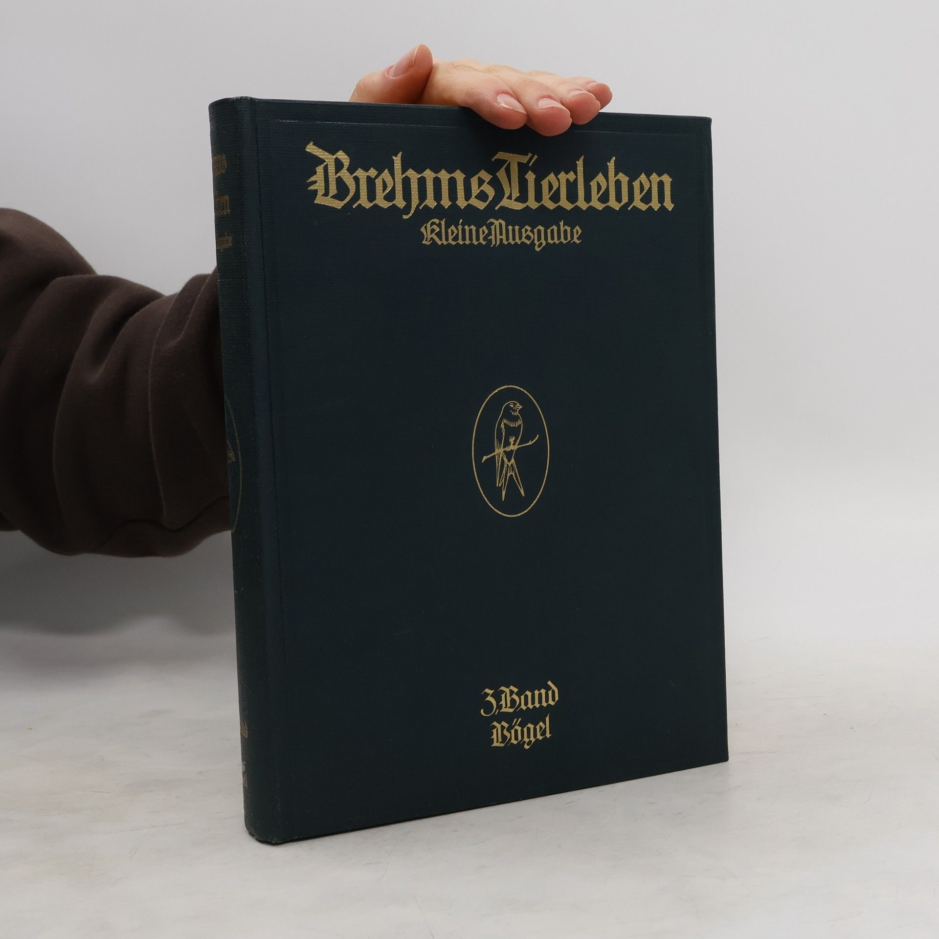 Alfred Edmund Brehm Brehms Tierleben. Kleine Ausgabe. Band 3