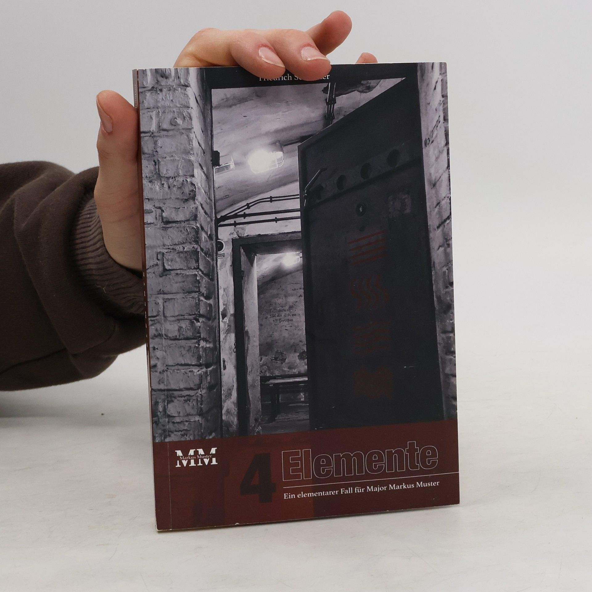 Friedrich Schnalzer 4 Elemente