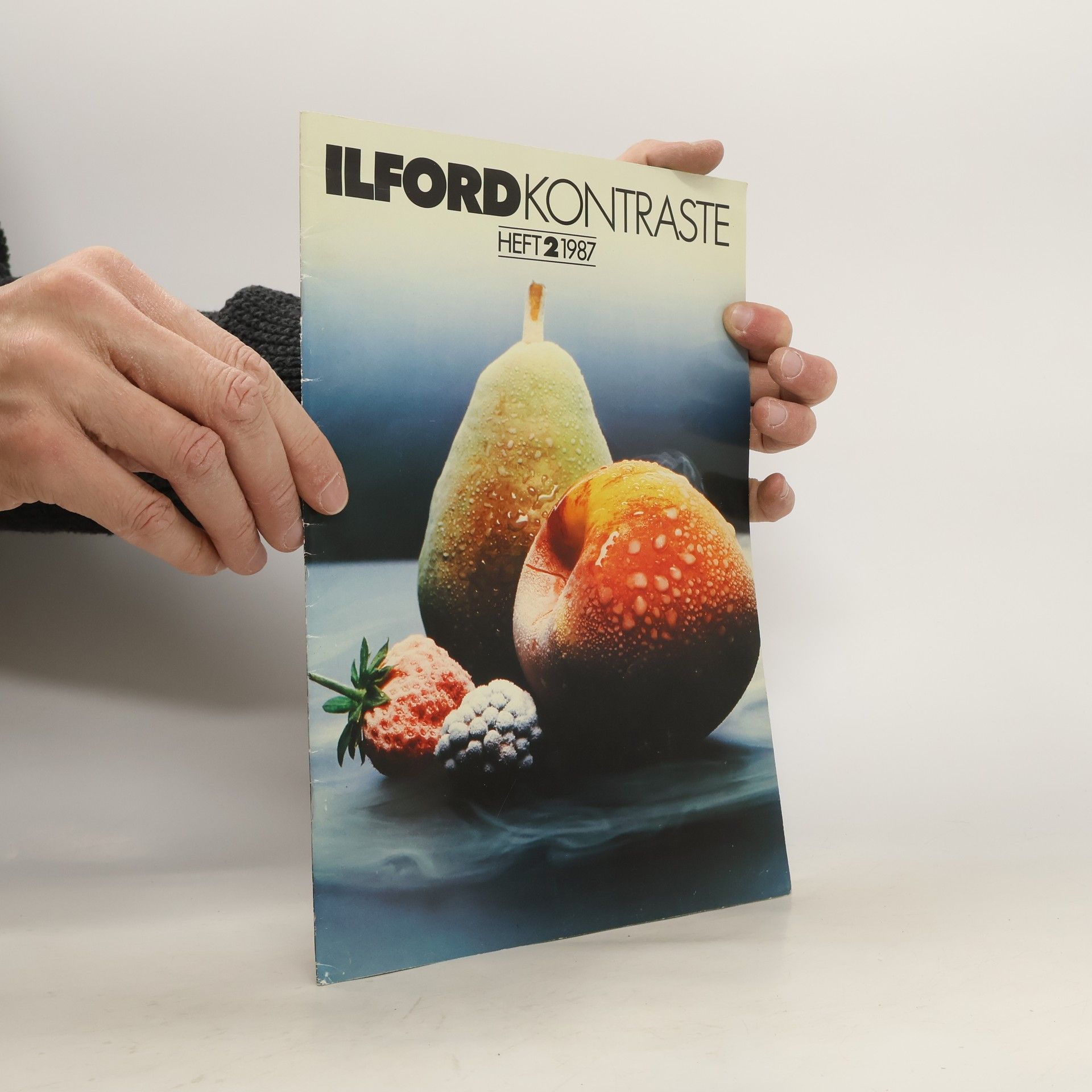 Collectif d'auteurs Ilford Kontraste. Heft 2