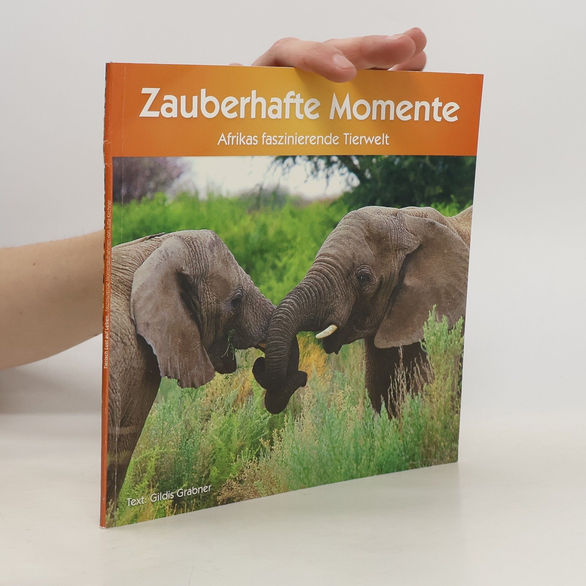Gildis Grabner Zauberhafte Momente