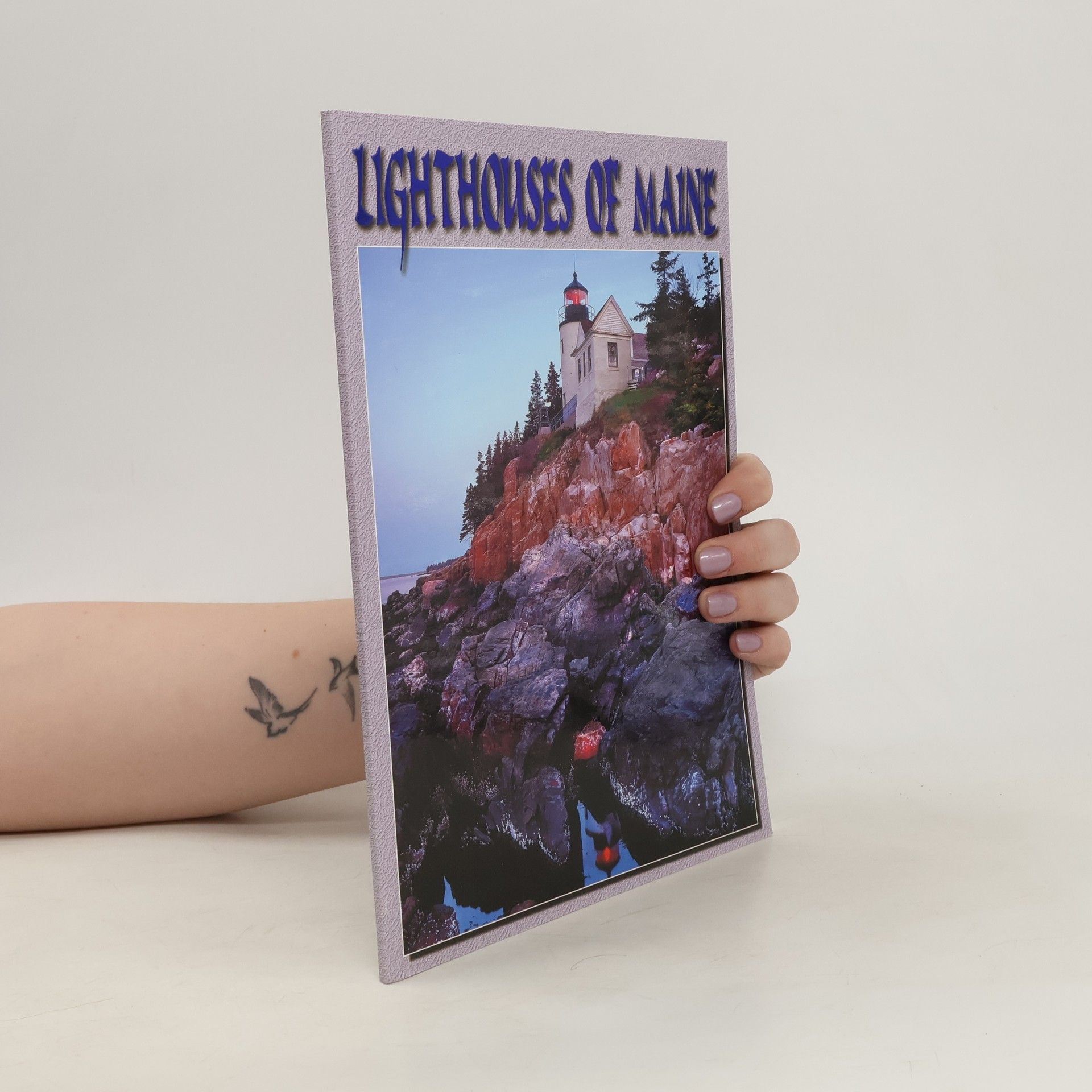 Kolektív autorov Lighthouses of Maine