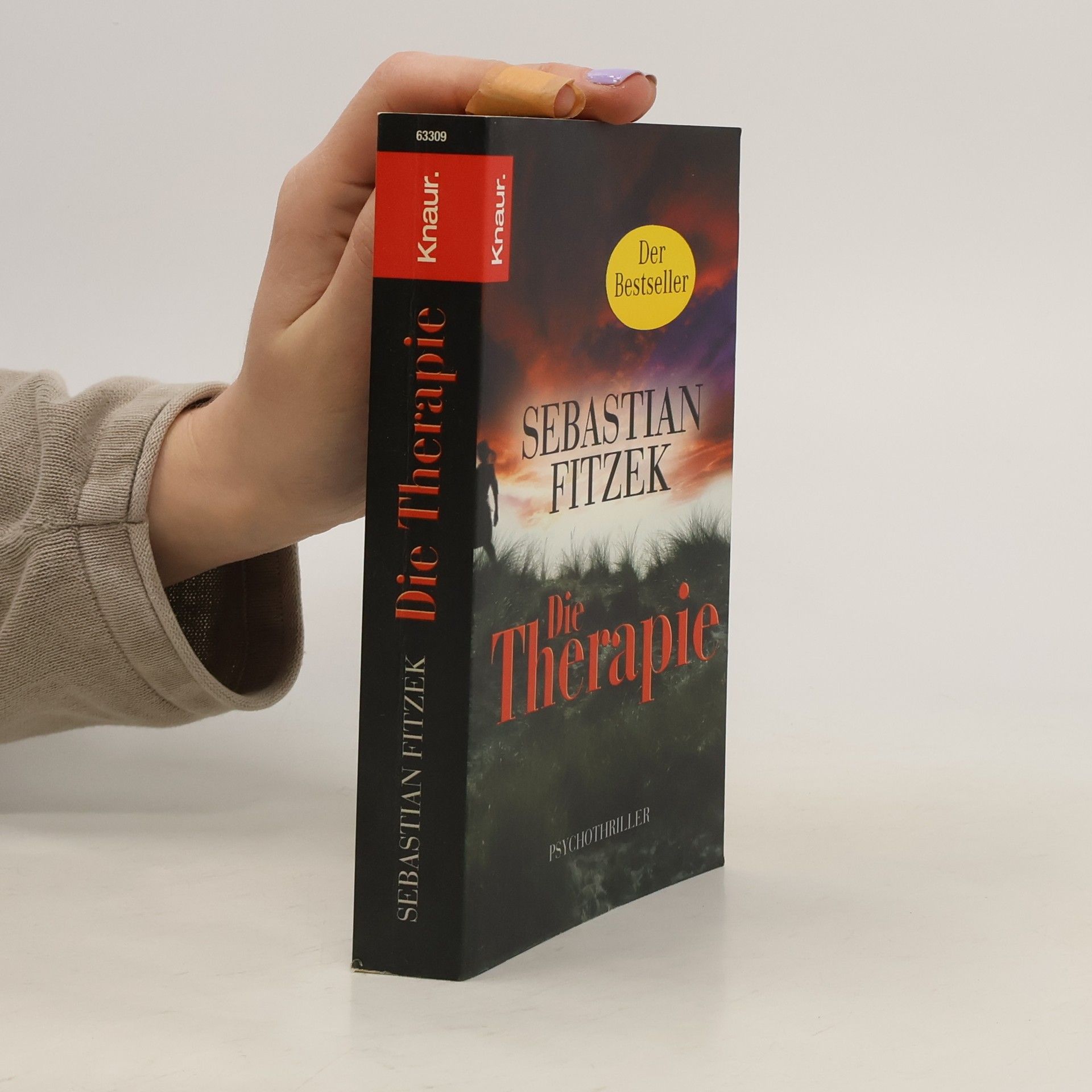 Sebastian Fitzek Die Therapie