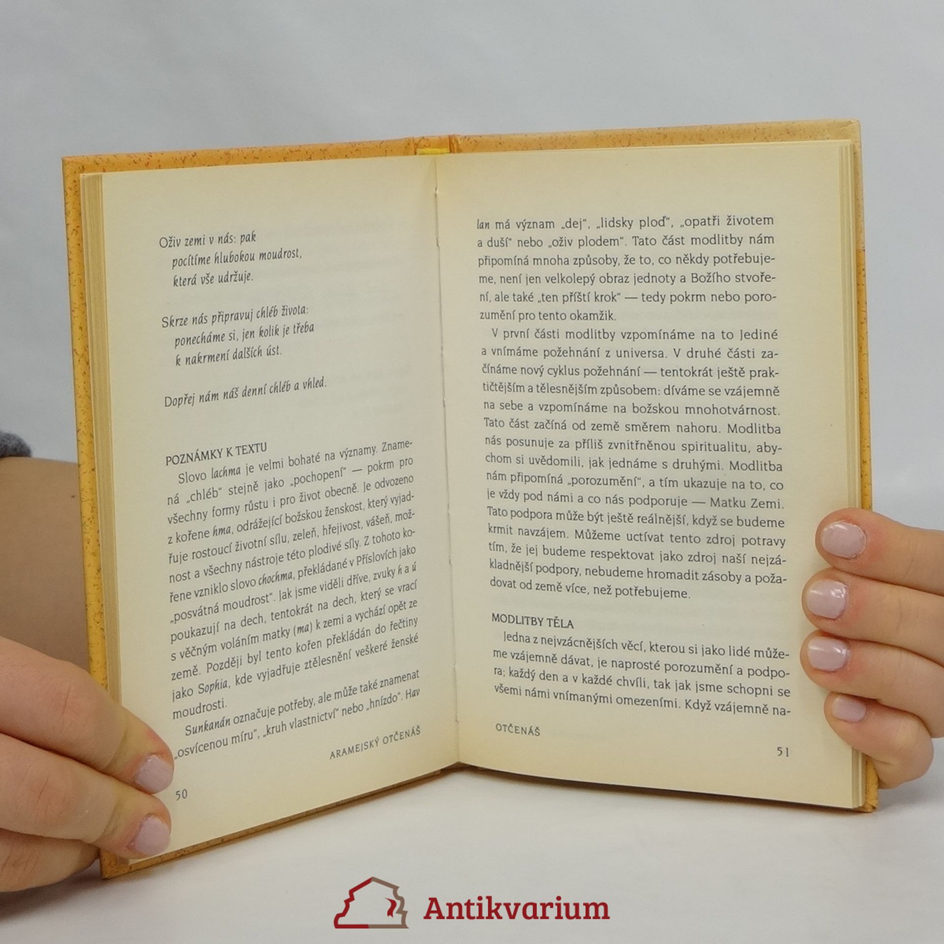 Matthew Fox Aramejský Otčenáš. Meditace na Ježíšova slova