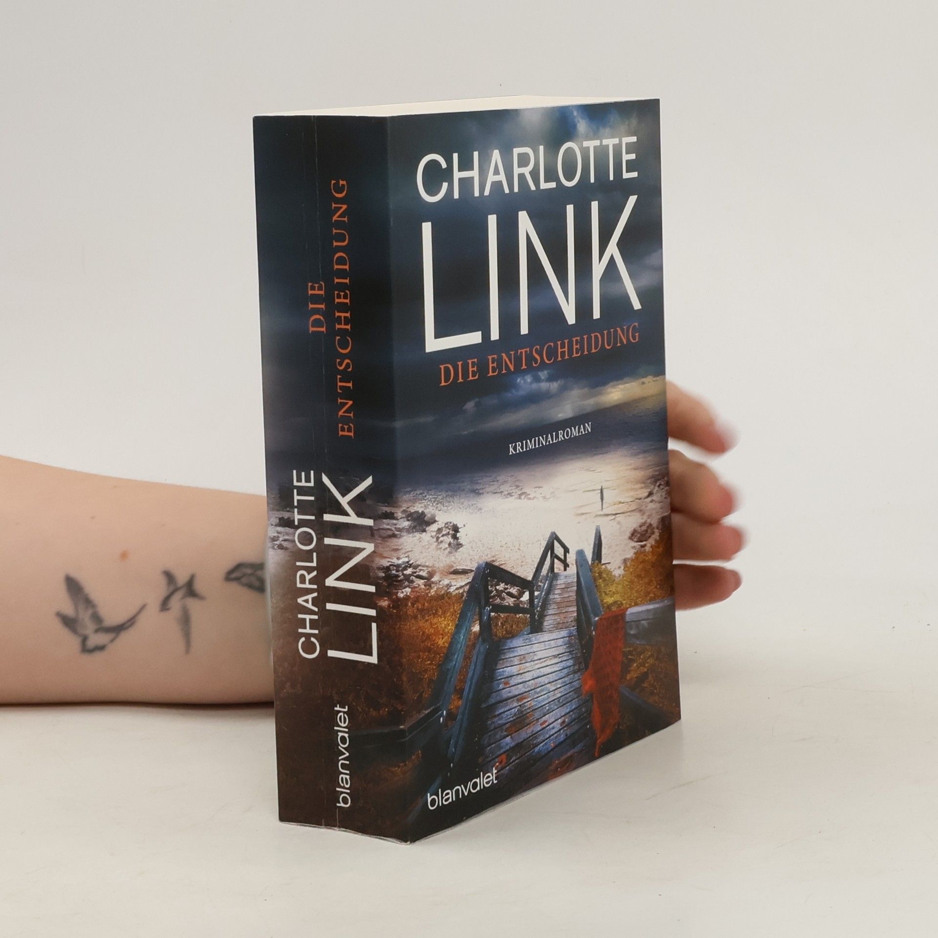 Charlotte Link Die Entscheidung