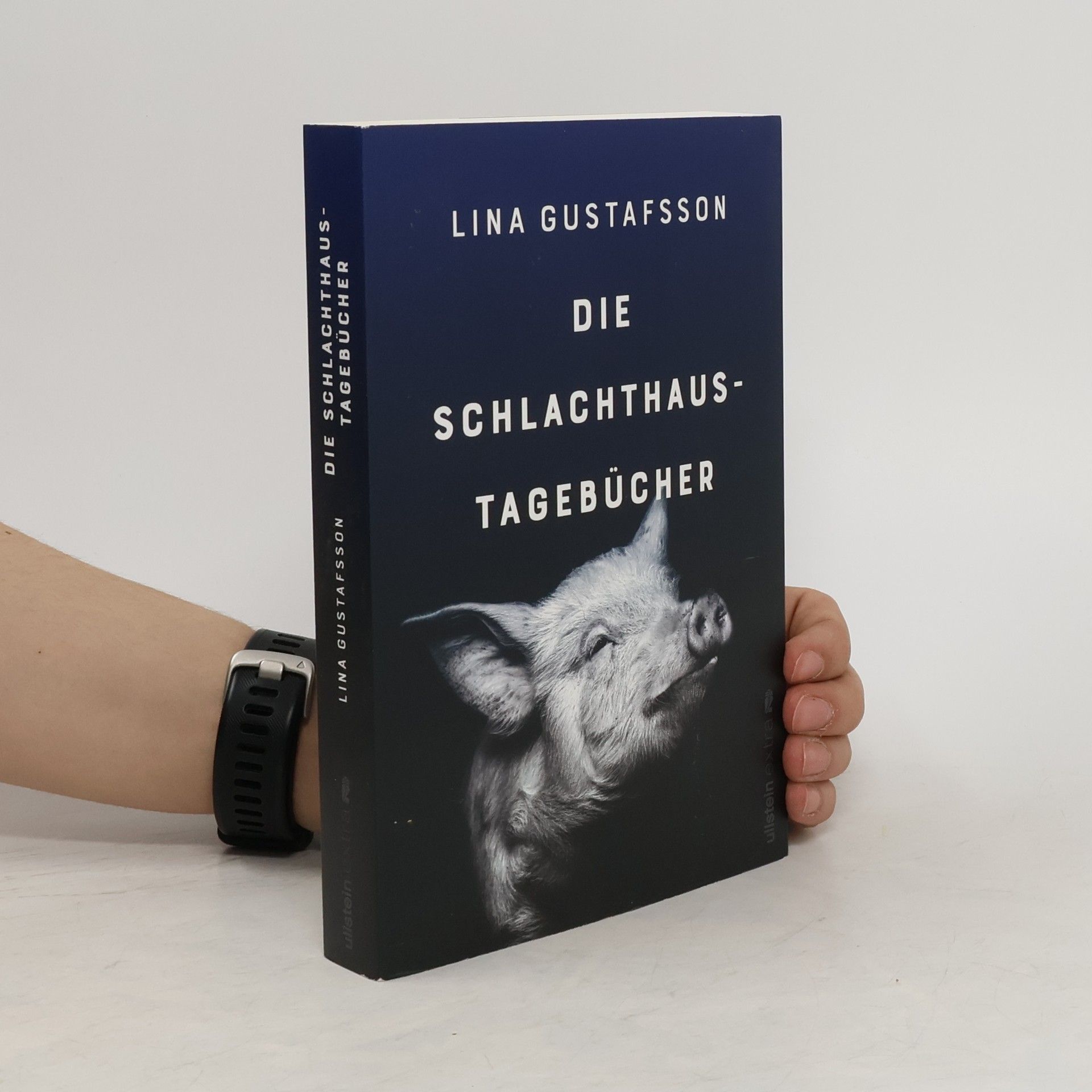 Lina Gustafsson Die Schlachthaus-Tagebücher