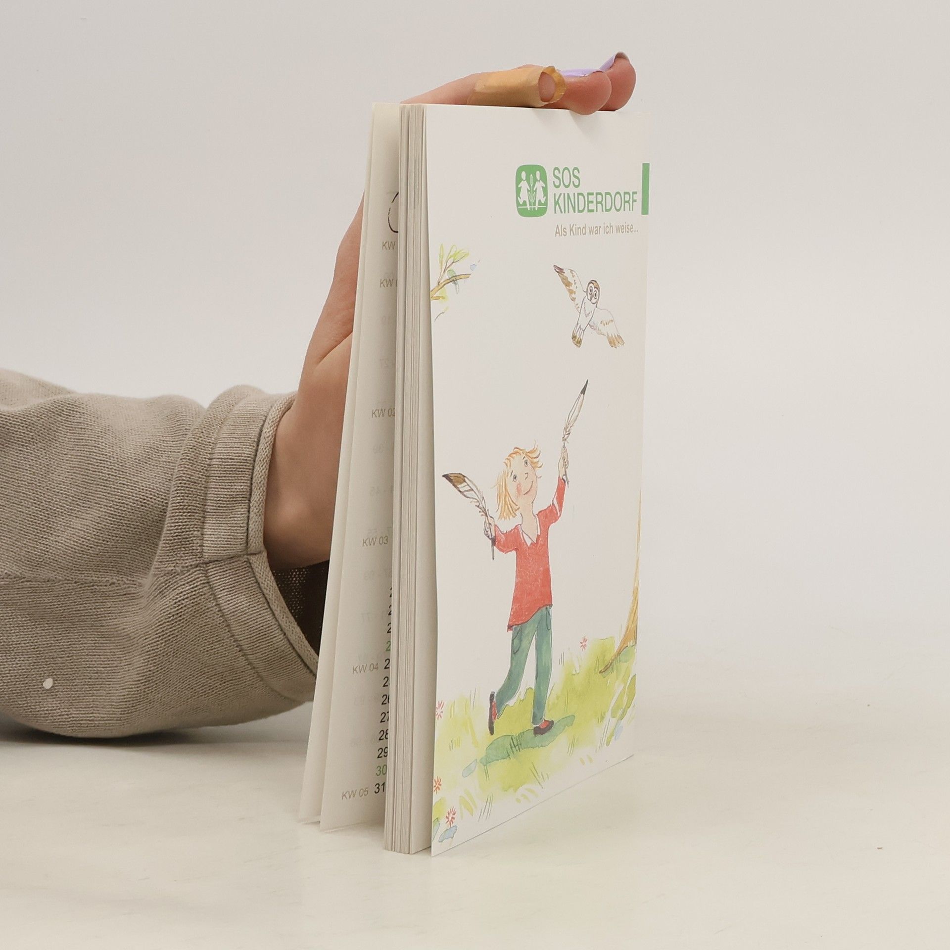 kolektiv SOS Kinderdorf. Jahrbuch 2011. Als Kind war ich weise...