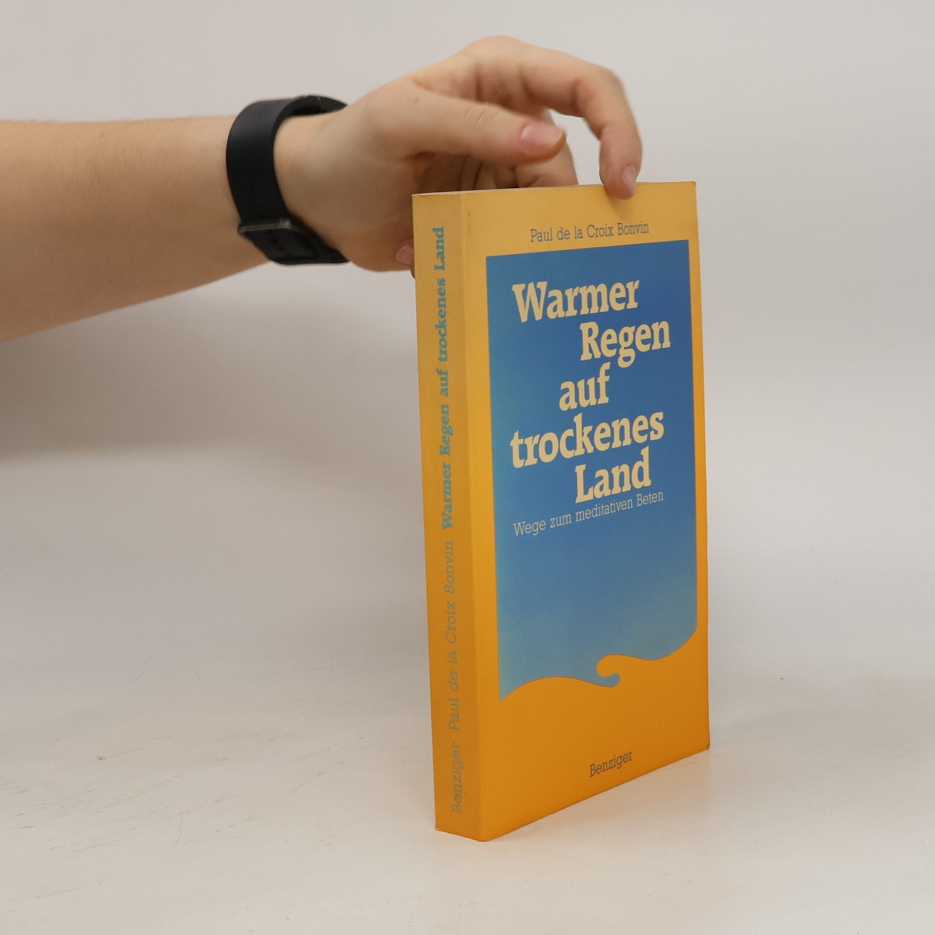 Paul de la Croix Bonvin Warmer Regen auf trockenes Land