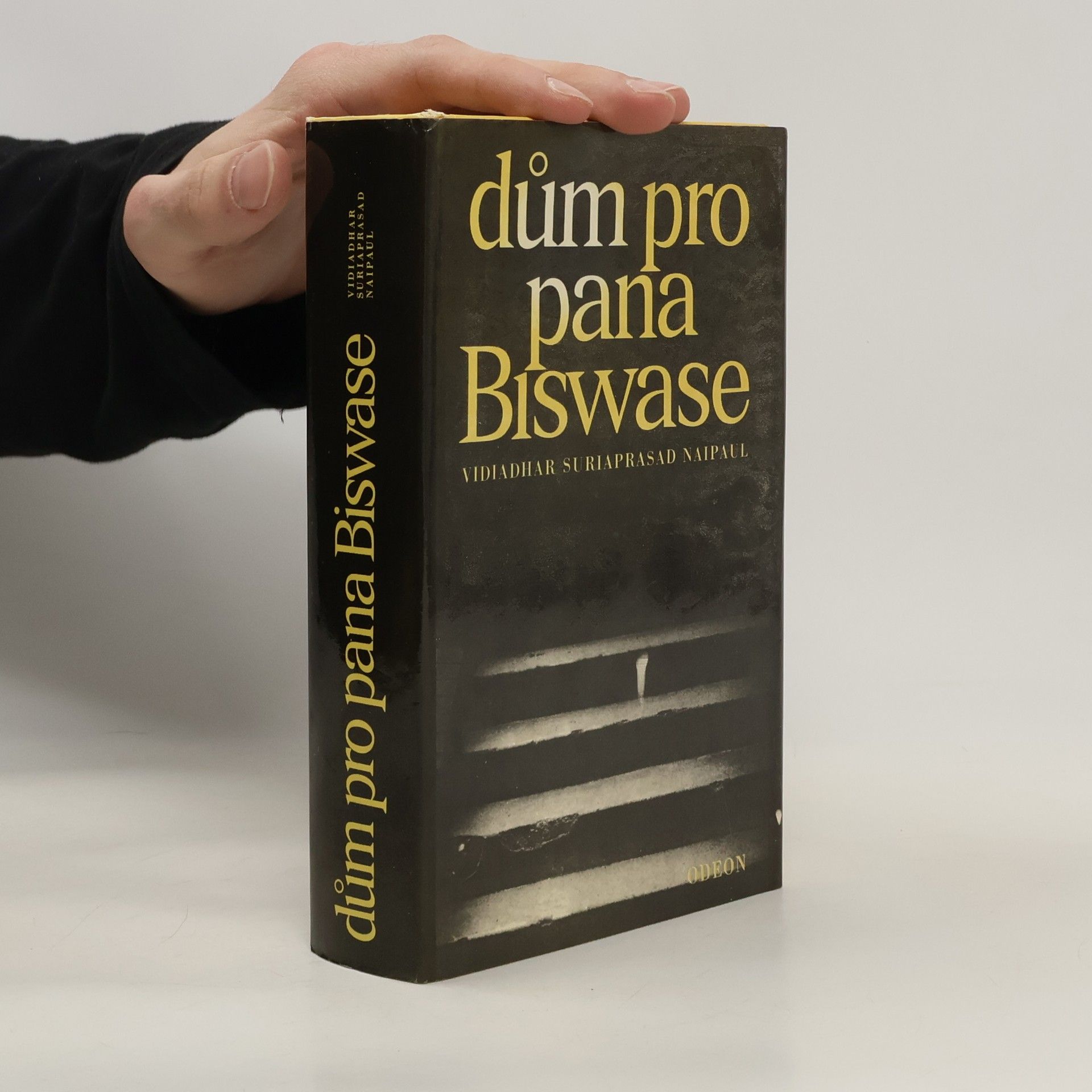 V. S. Naipaul Dům pro pana Biswase