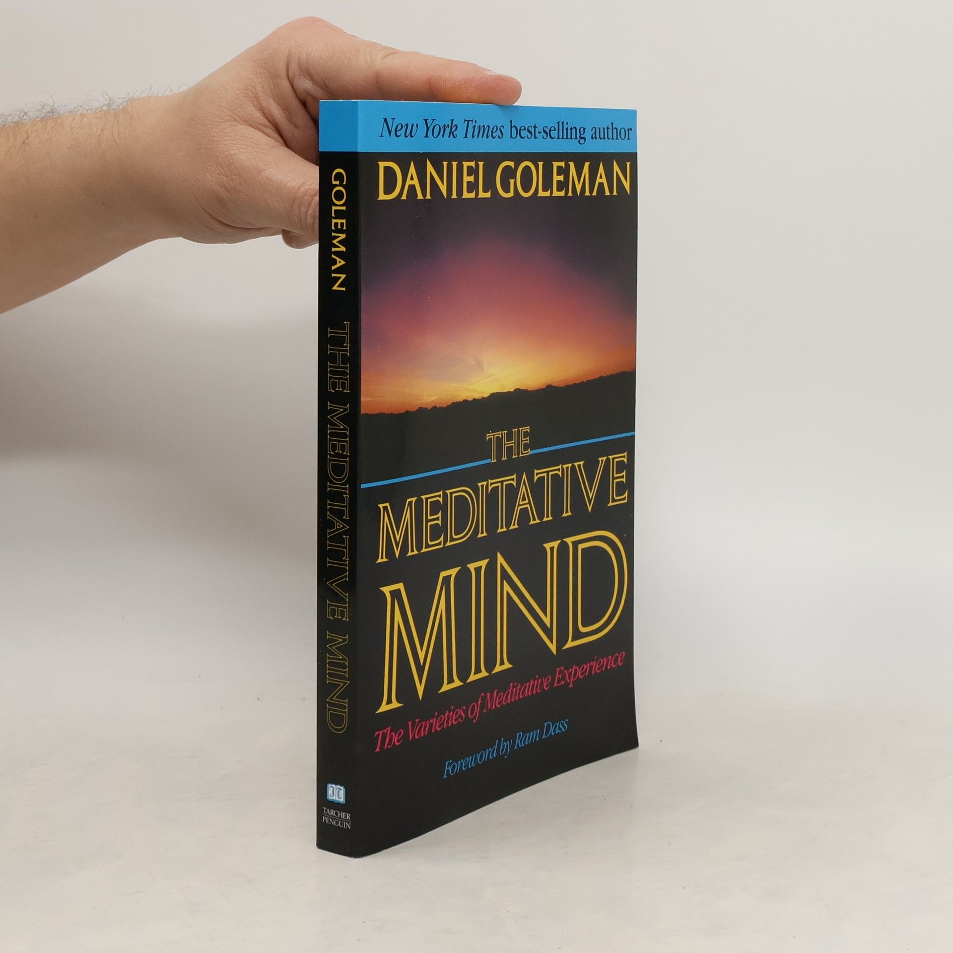 Daniel Goeman Meditative Mind