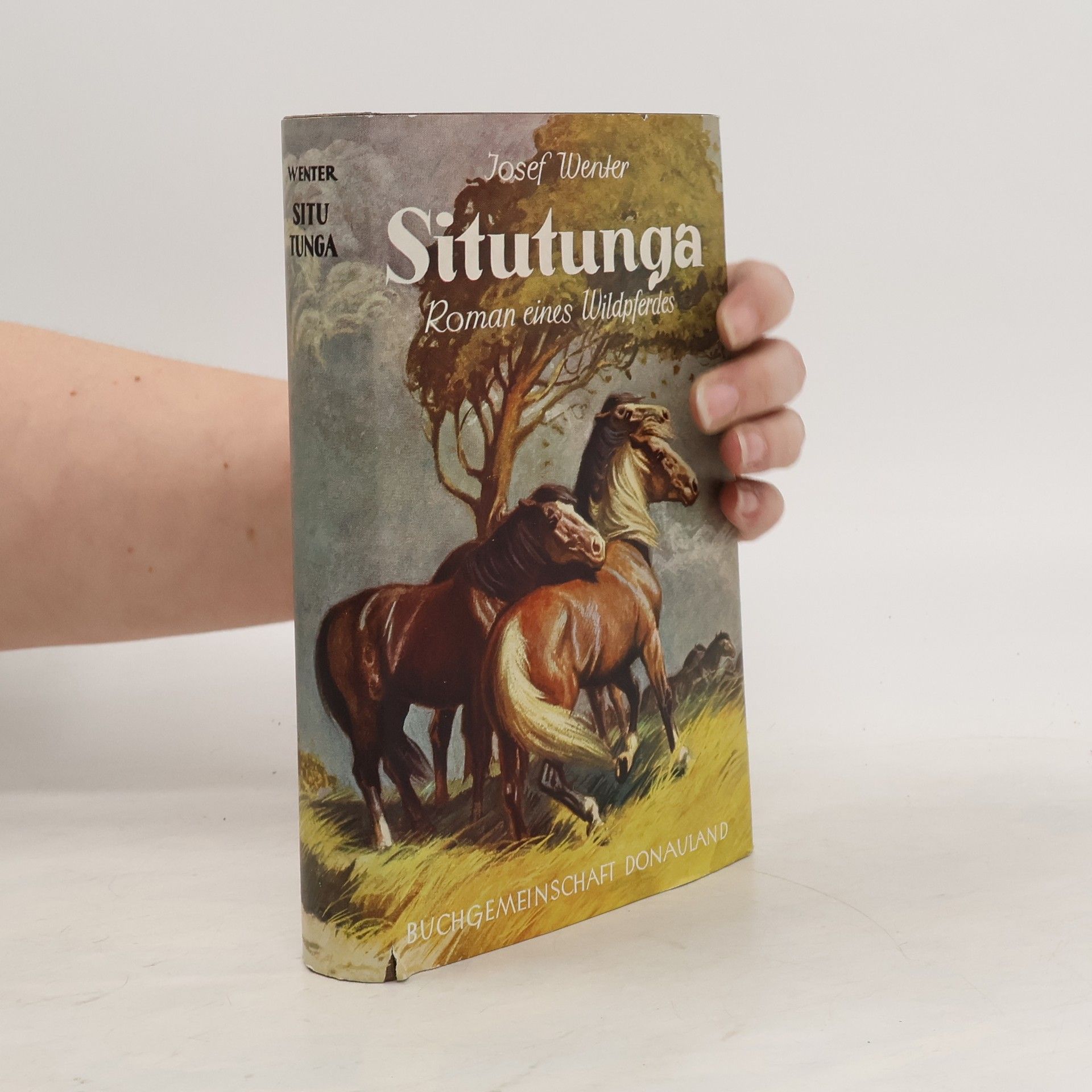 Josef Wenter Situtunga