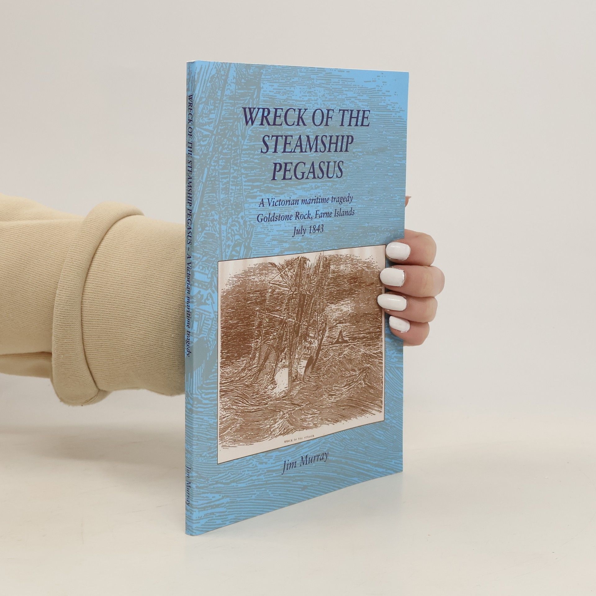 Wreck of the Steamship Pegasus