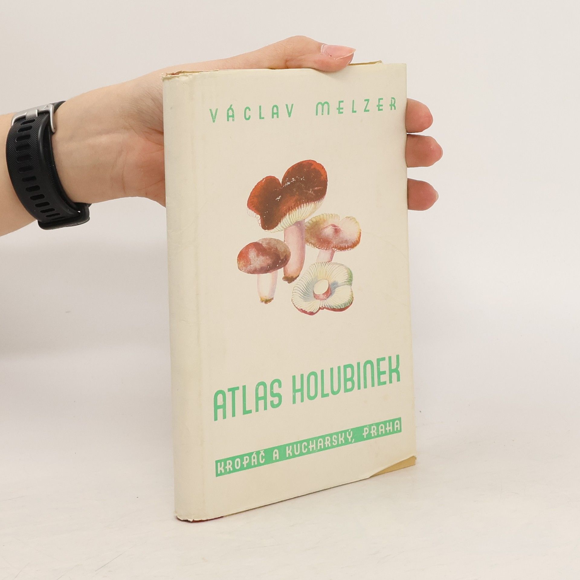 Václav Melzer Atlas holubinek