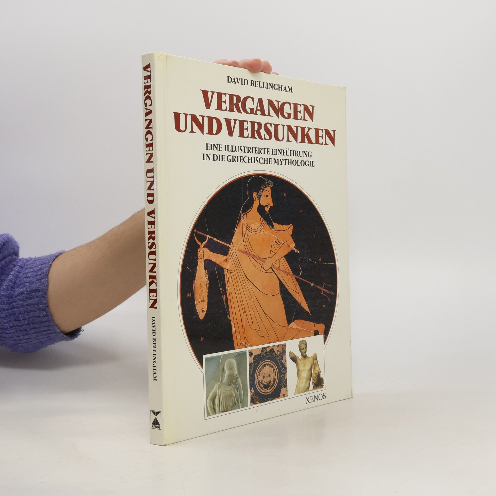 David Bellingham Vergangen und versunken