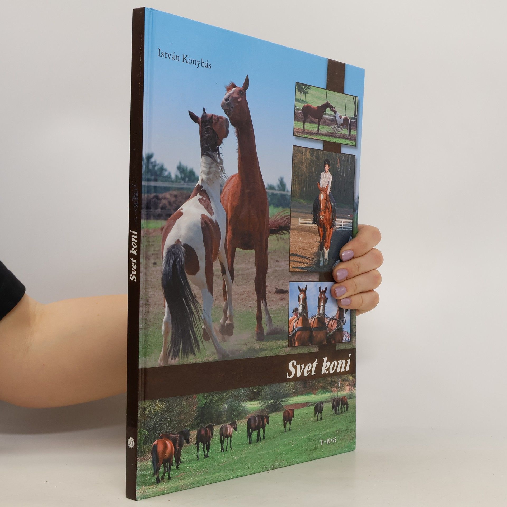 István Konyhás Svet koní