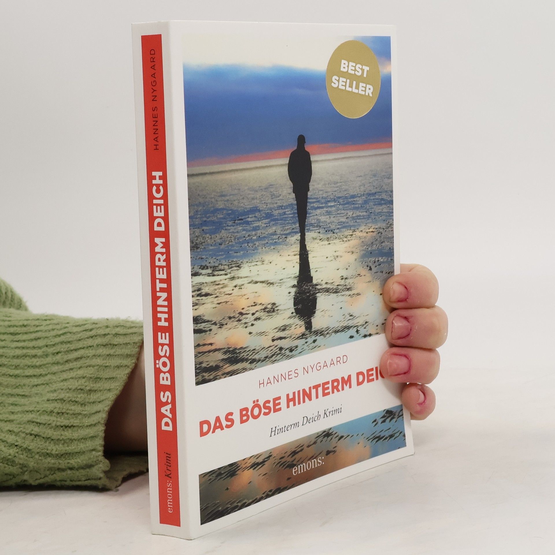 Hannes Nygaard Das Böse hinterm Deich