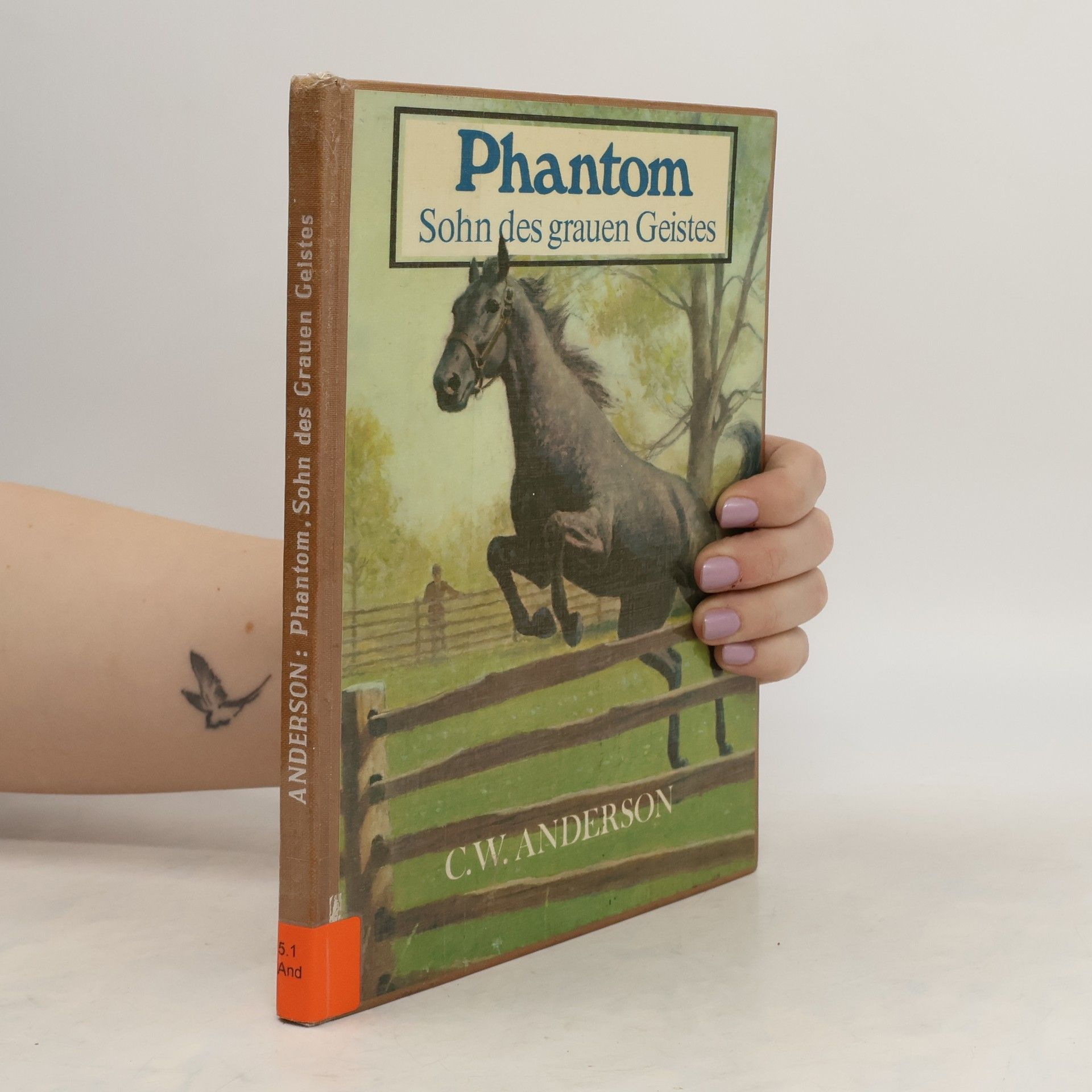 C. W. Anderson Phantom. Sohn des grauen Geistes