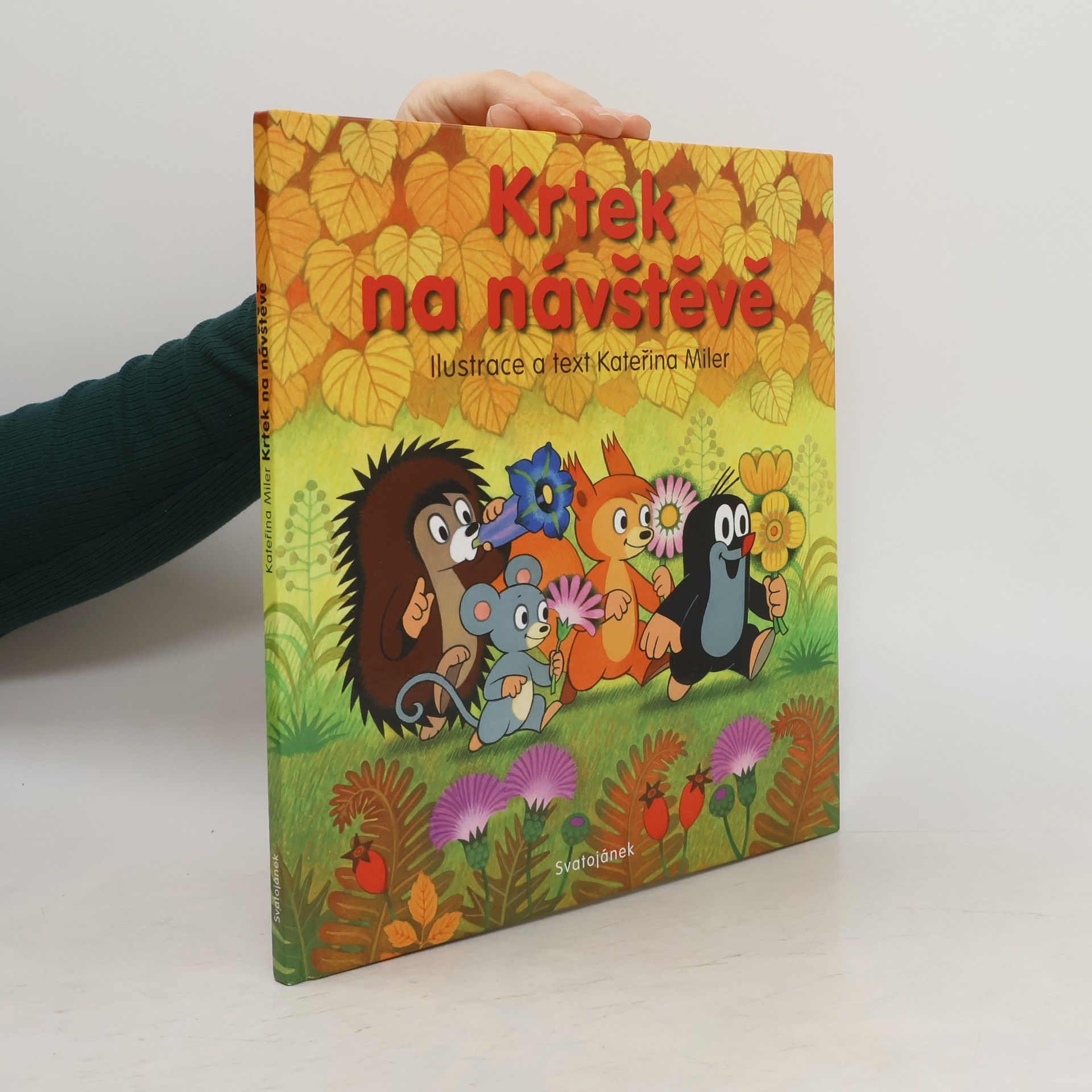 Kateřina Lovis Miler Krtek na návštěvě