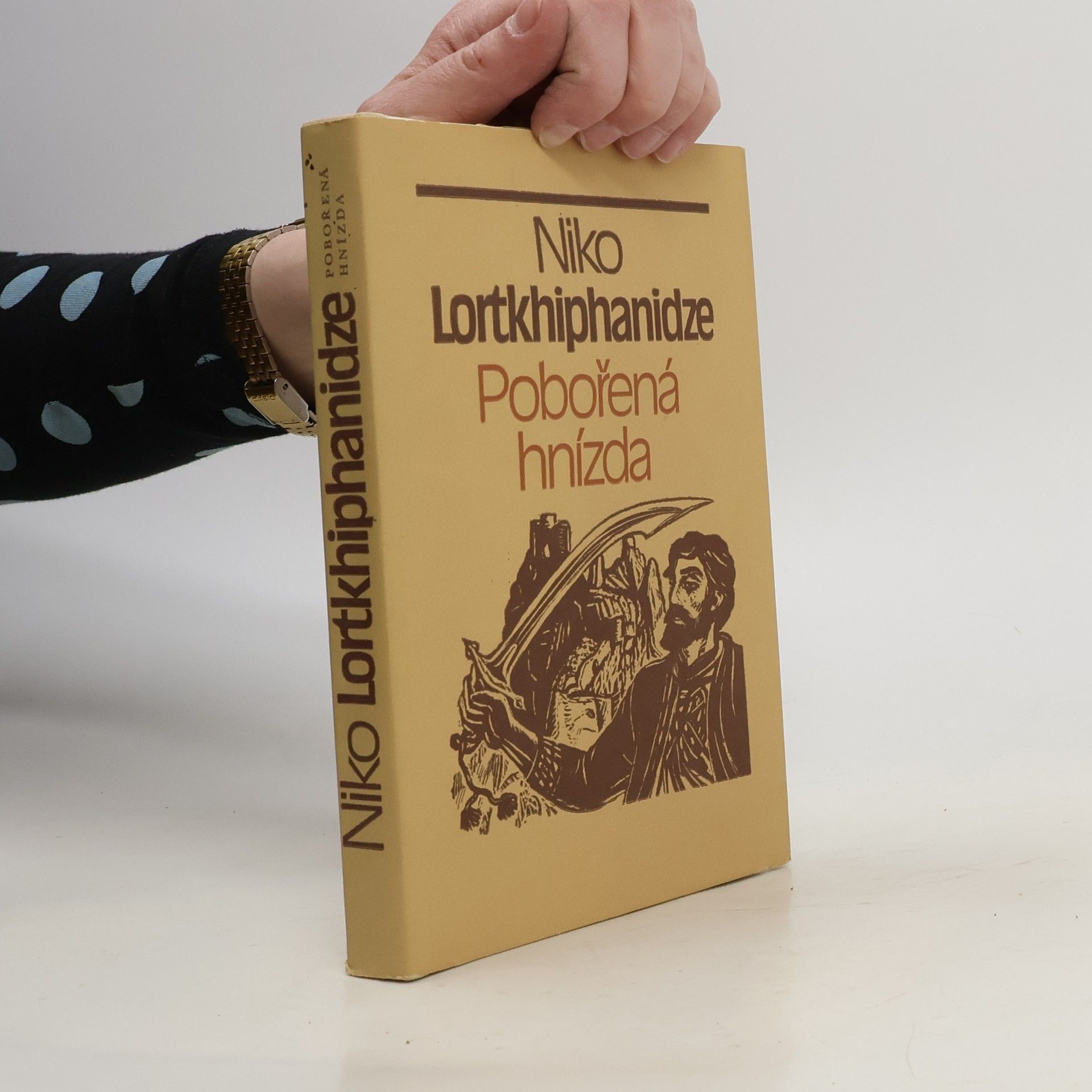 Niko Lortkhiphanidze Pobořená hnízda