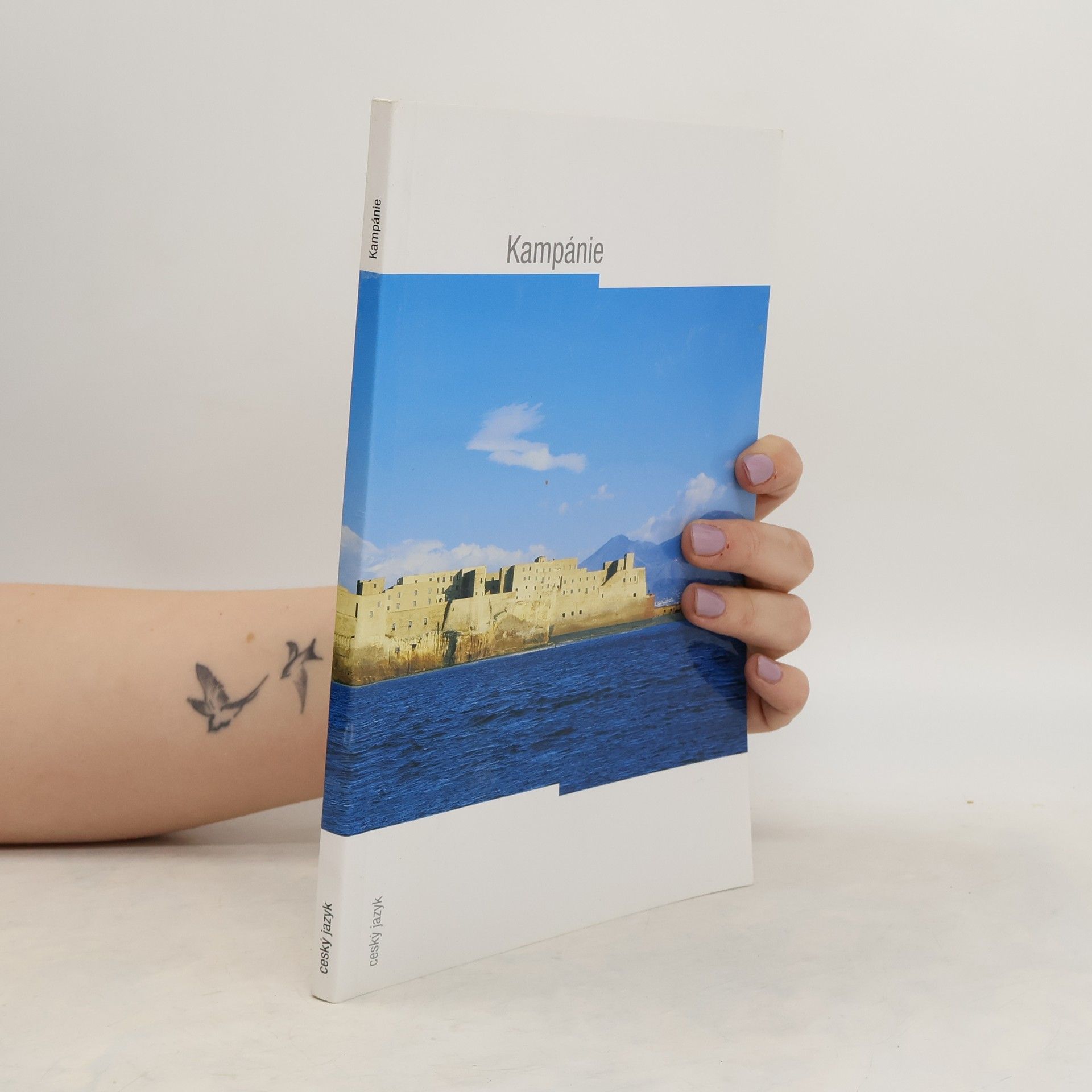 Kolektív autorov Kampánie