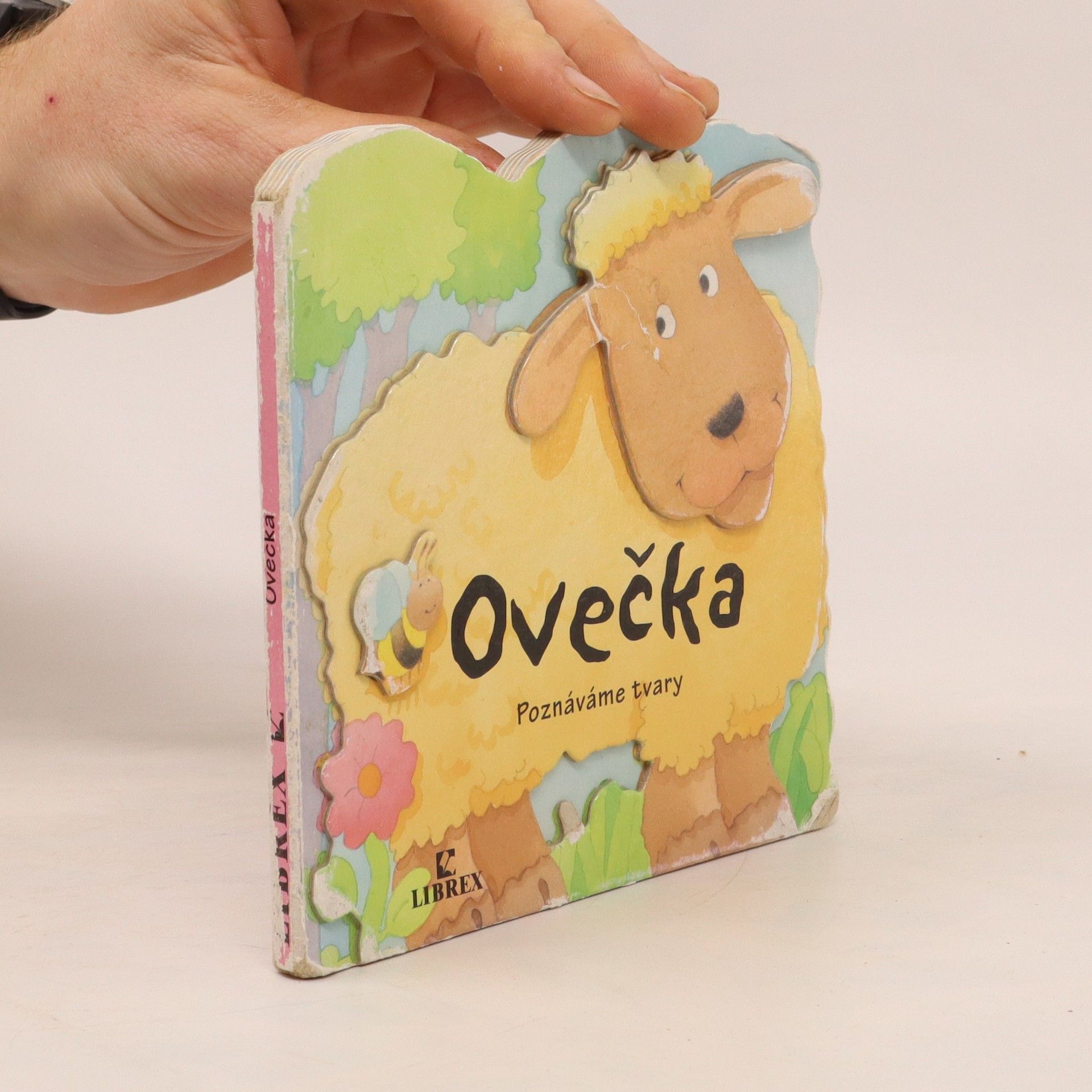 Terry T Burton Ovečka poznáváme tvary