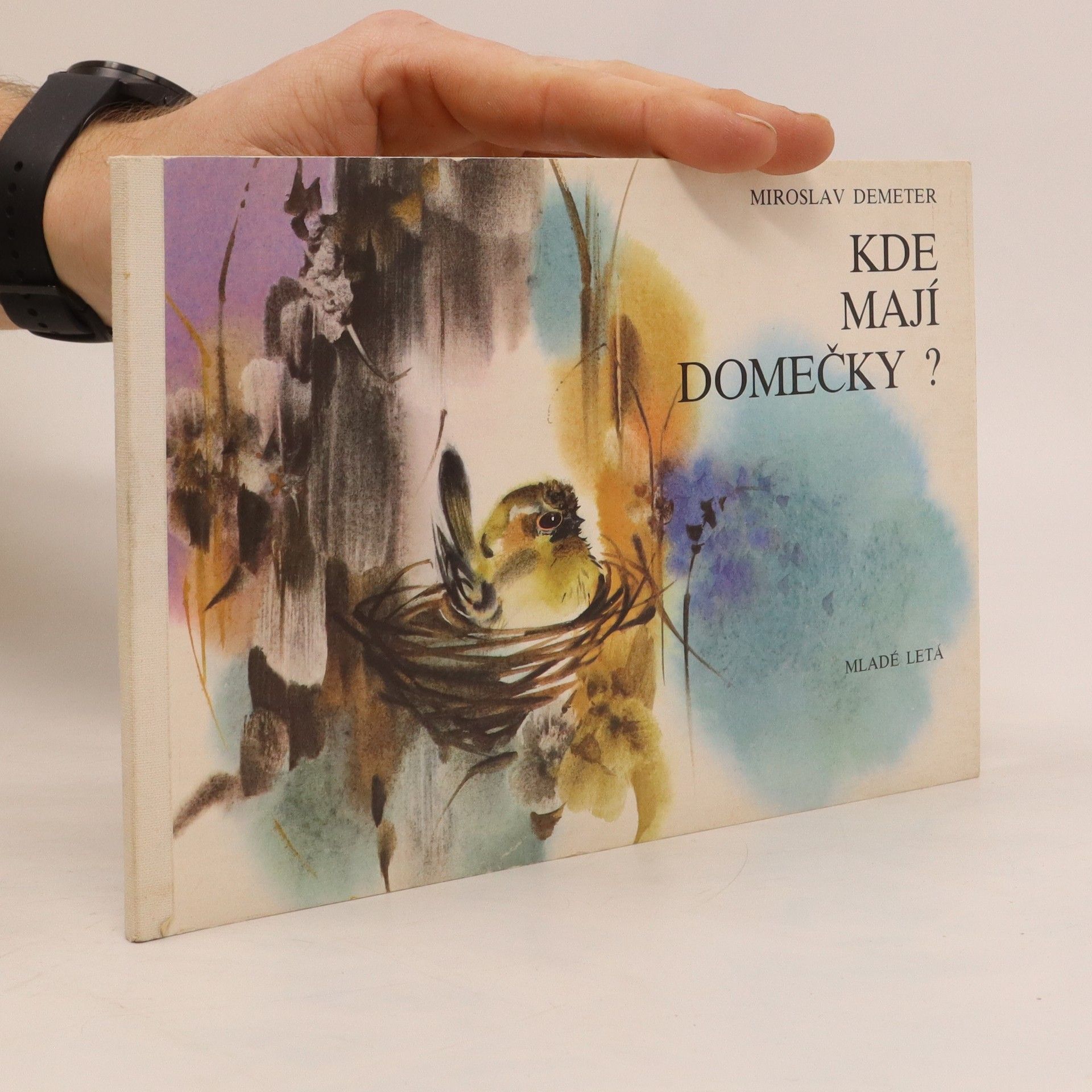 Miroslav Demeter Kde mají domečky?