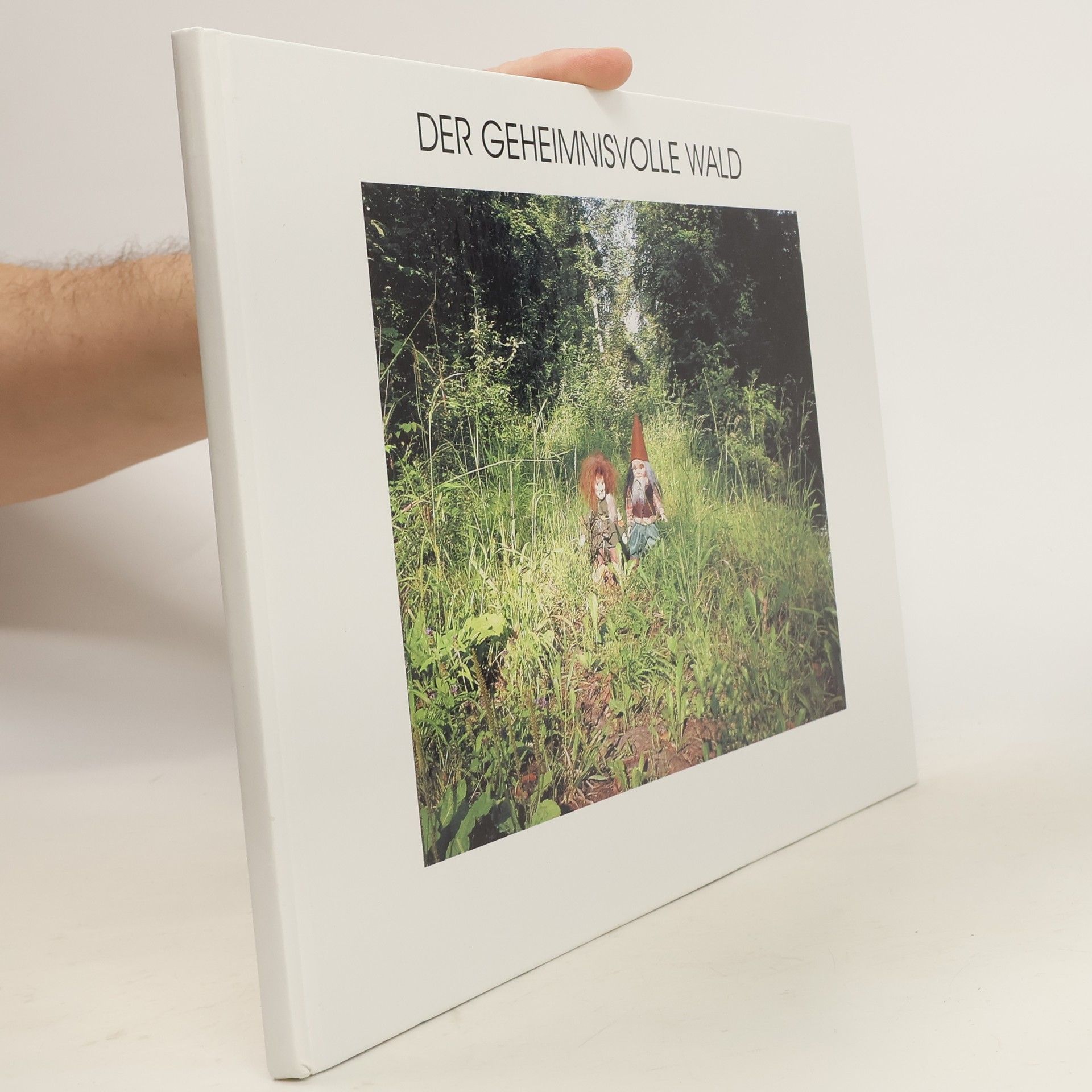 kolektiv Der Geheimnisvolle Wald