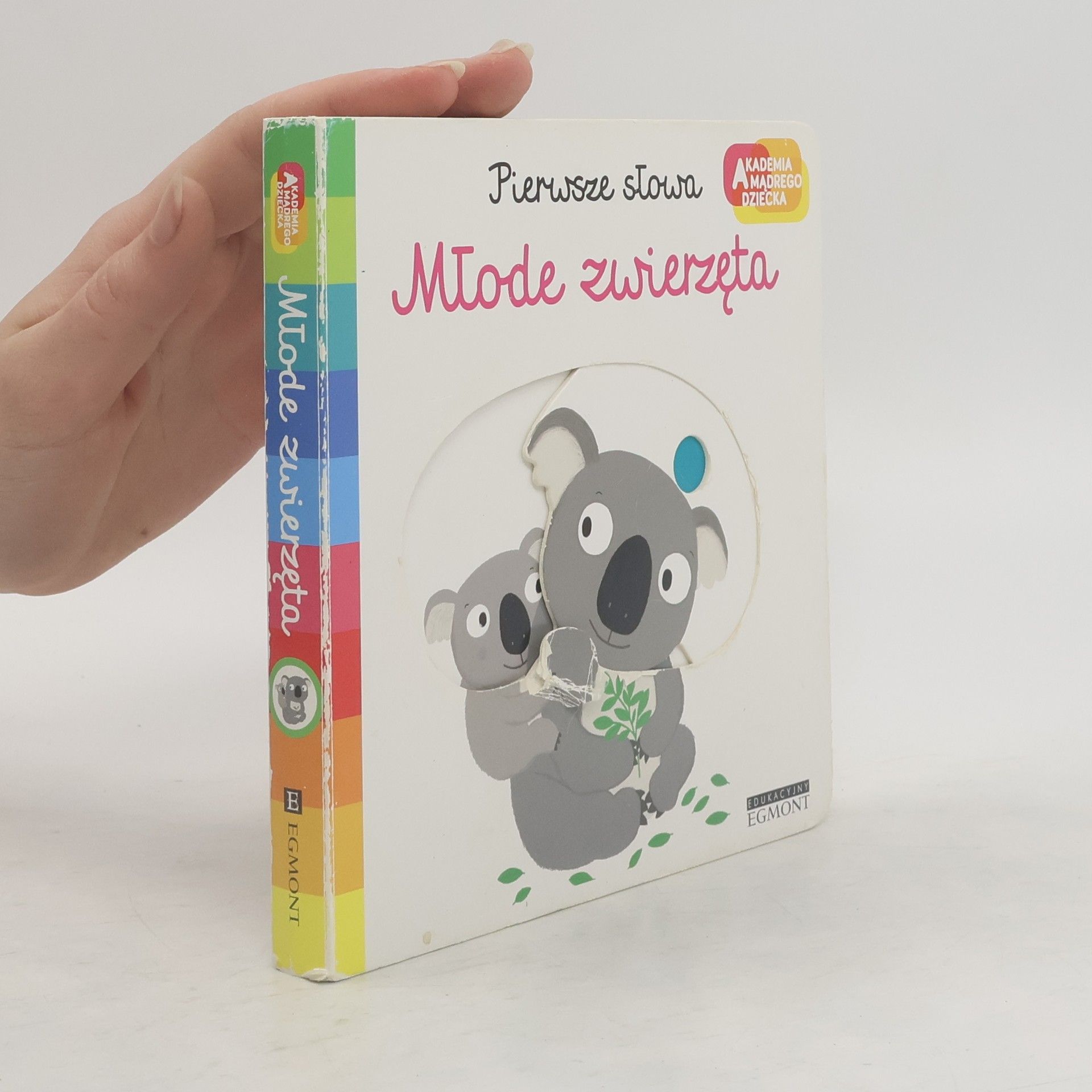 Collectif d'auteurs Młode zwierzęta